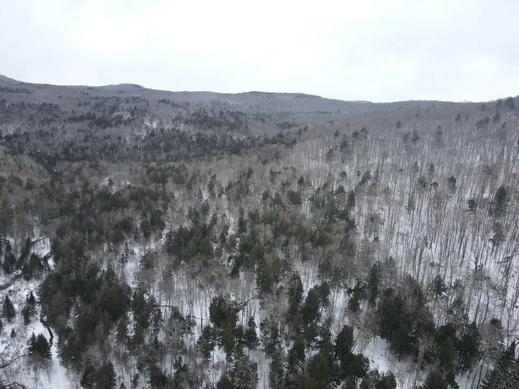 4000 Hardwood Flats Road Elmore VT 05657