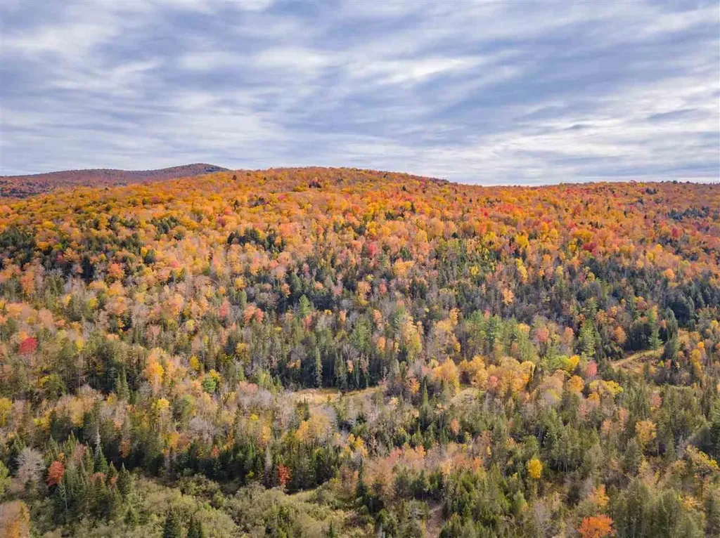 4000 Hardwood Flats Road Elmore VT 05657