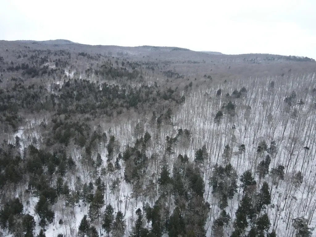 4000 Hardwood Flats Road Elmore VT 05657