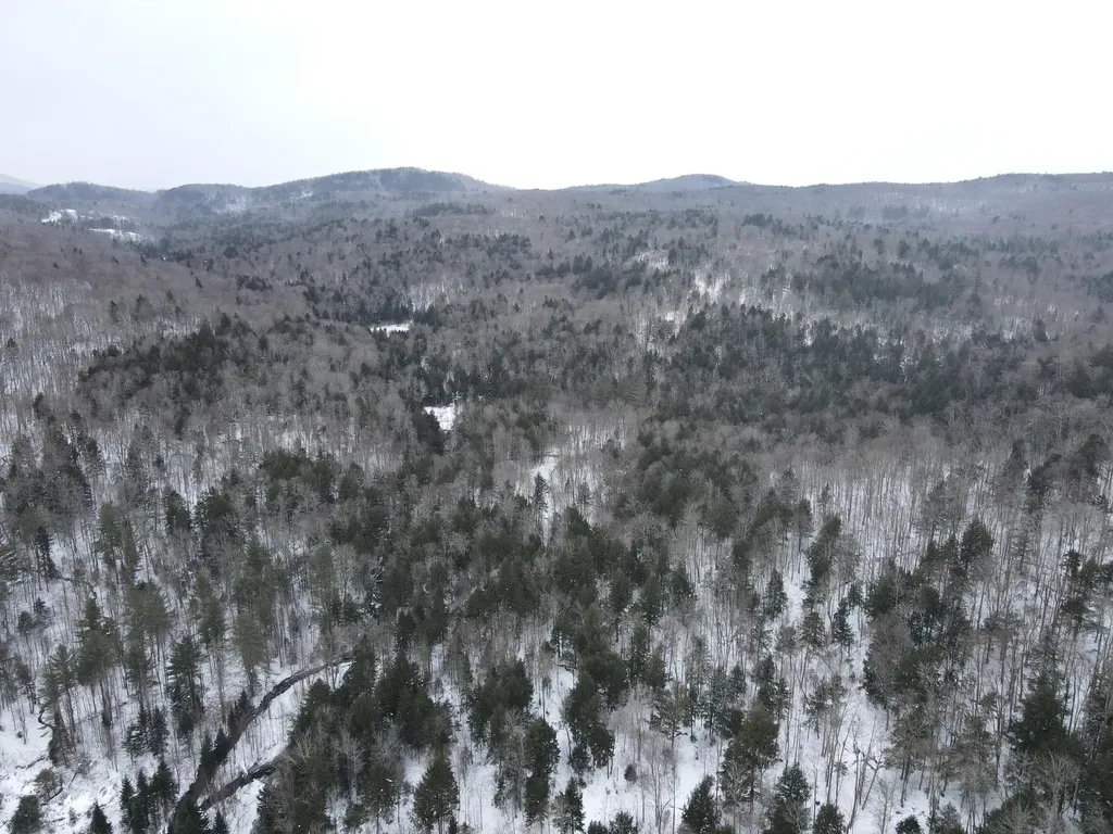 4000 Hardwood Flats Road Elmore VT 05657