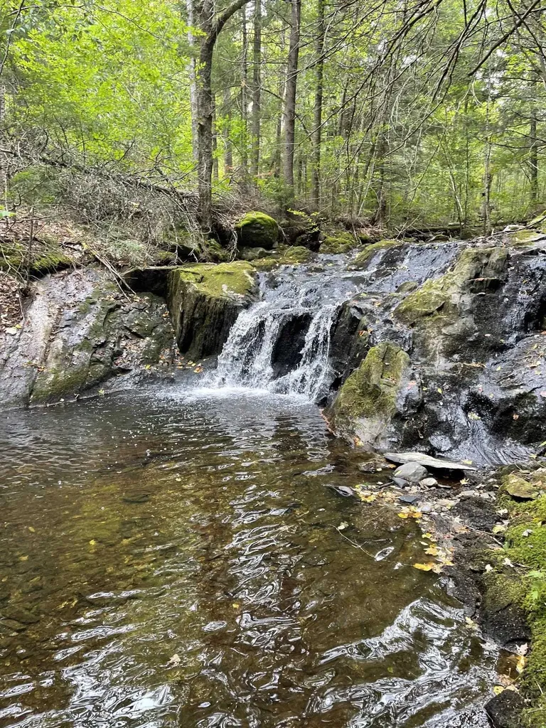4000 Hardwood Flats Road Elmore VT 05657