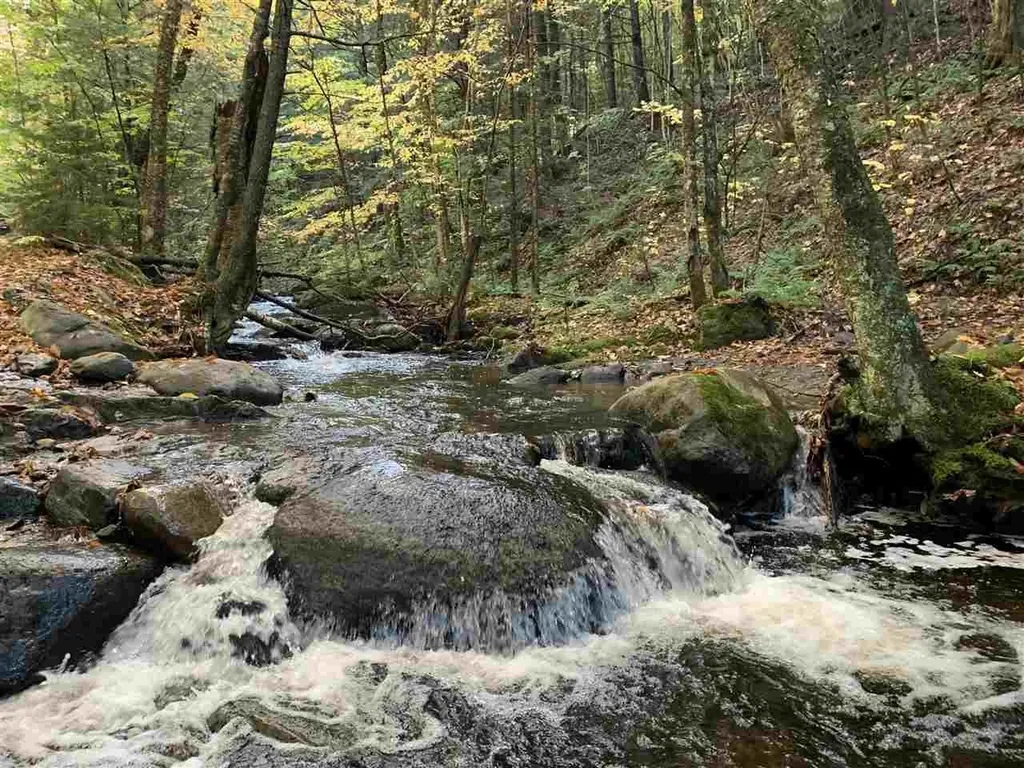 4000 Hardwood Flats Road Elmore VT 05657