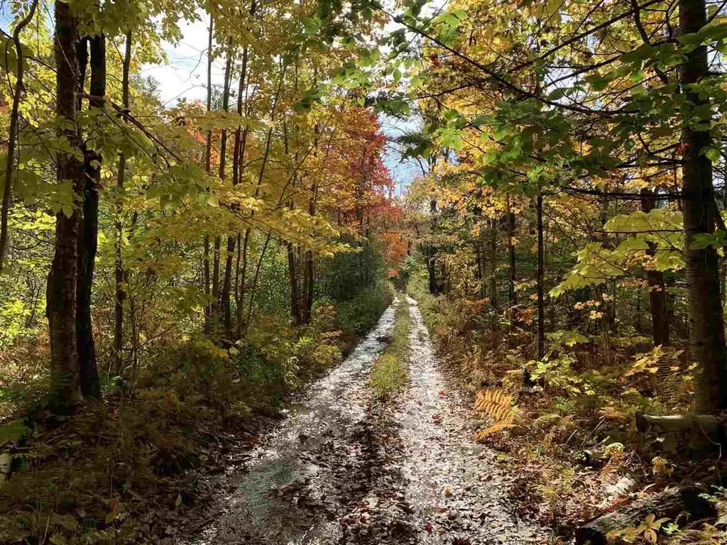 4000 Hardwood Flats Road Elmore VT 05657