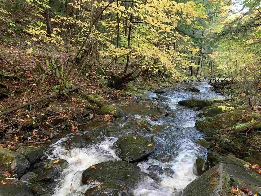 4000 Hardwood Flats Road Elmore VT 05657