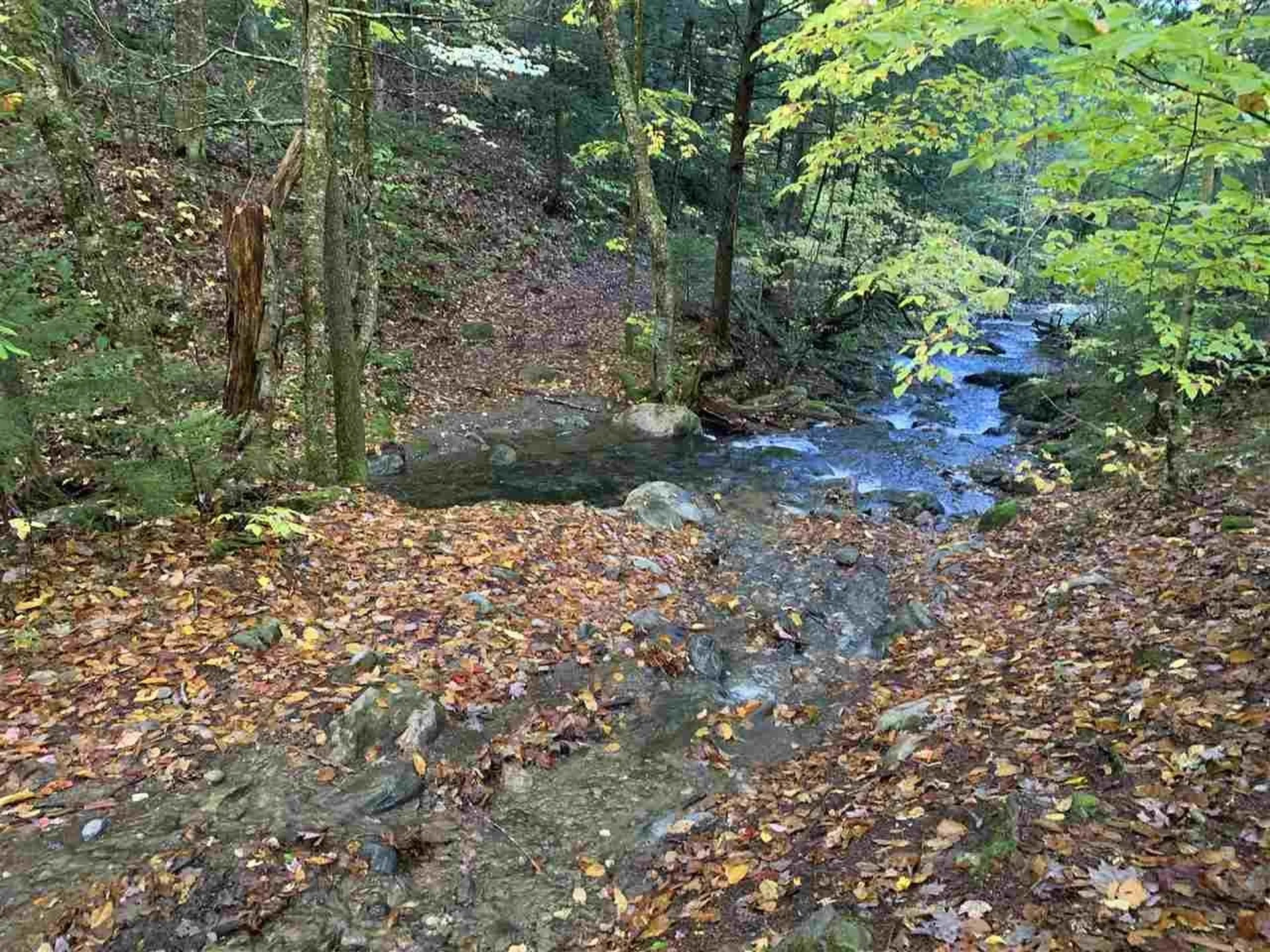 4000 Hardwood Flats Road Elmore VT 05657