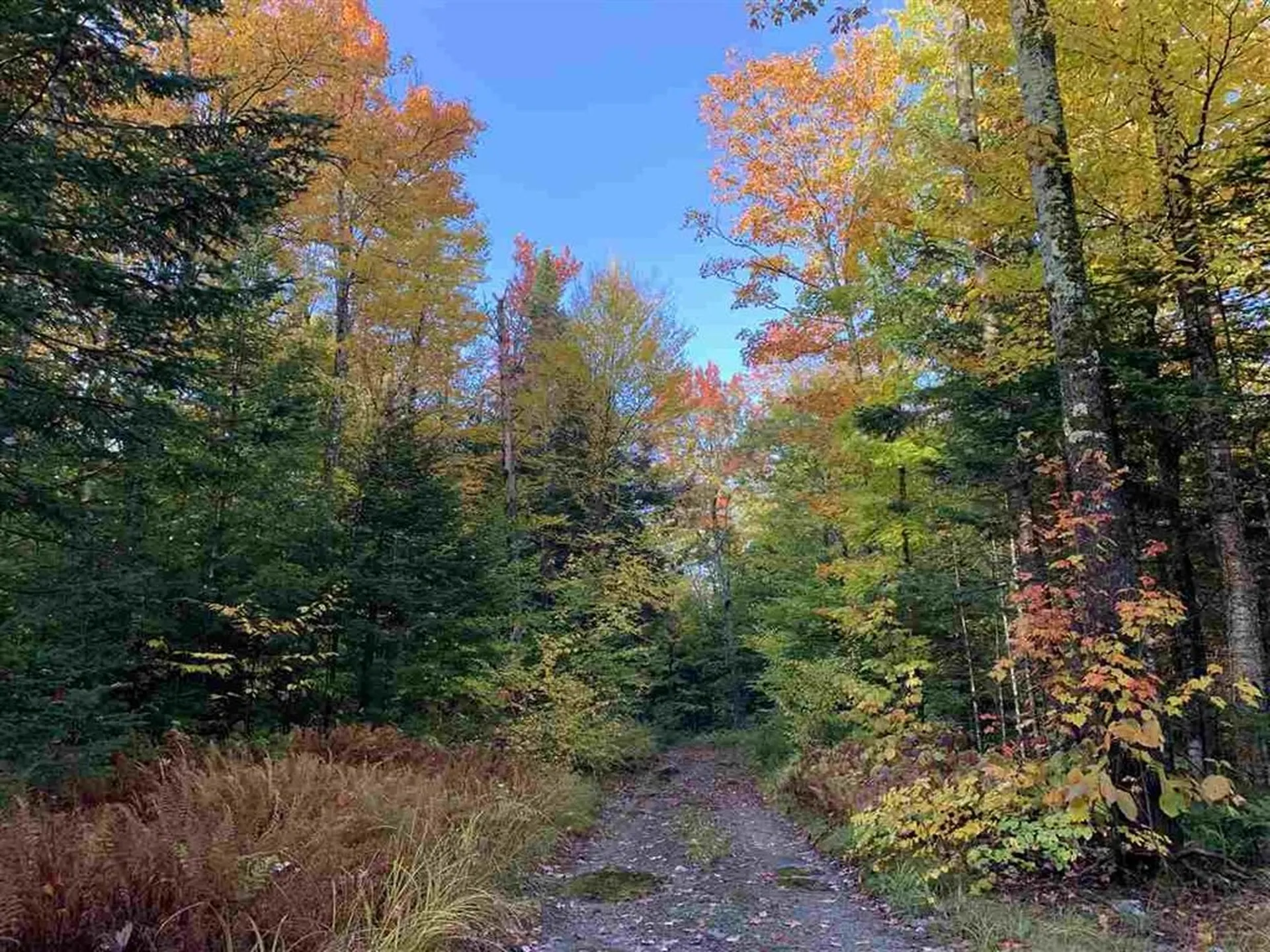 4000 Hardwood Flats Road Elmore VT 05657