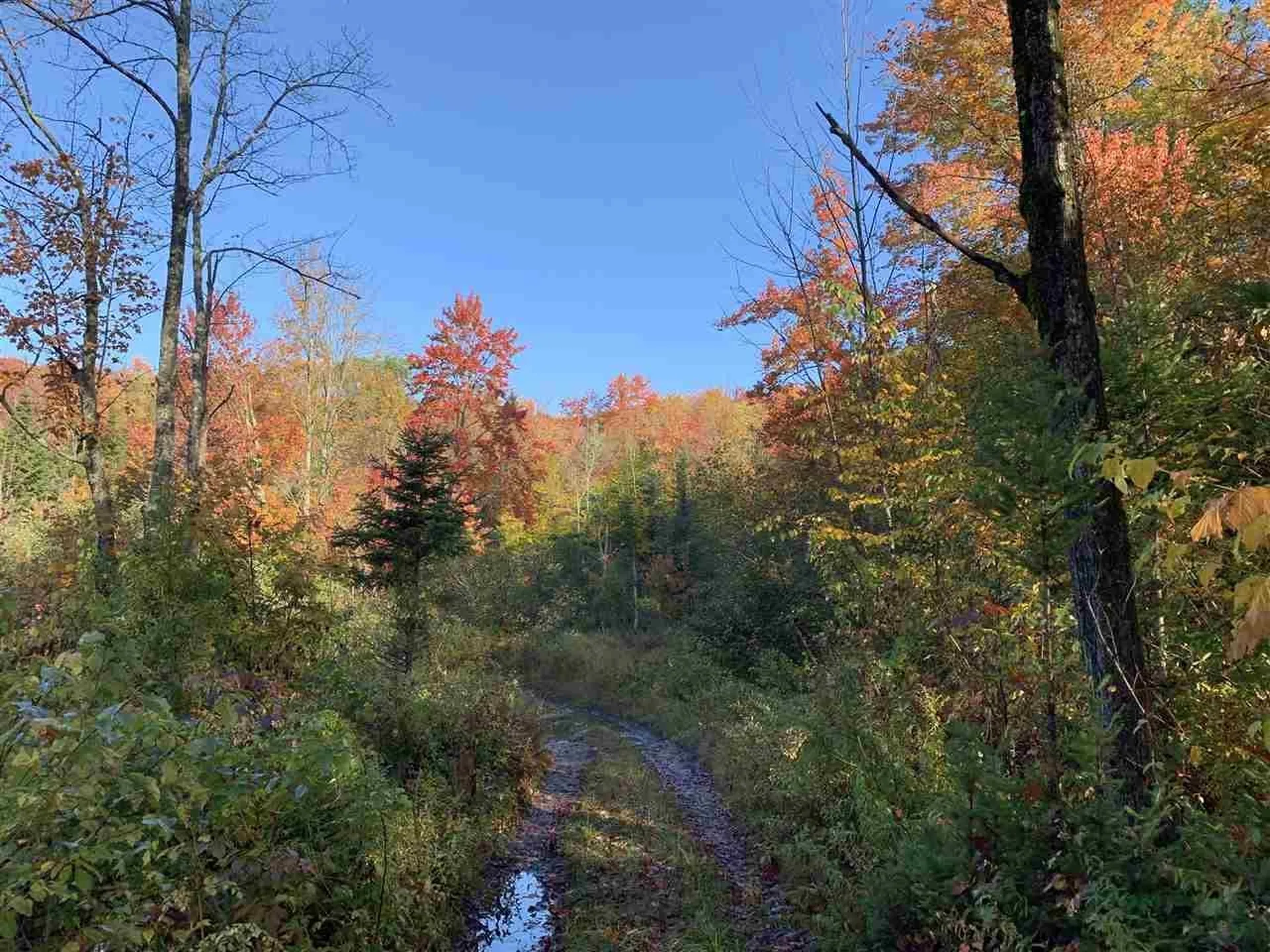 4000 Hardwood Flats Road Elmore VT 05657