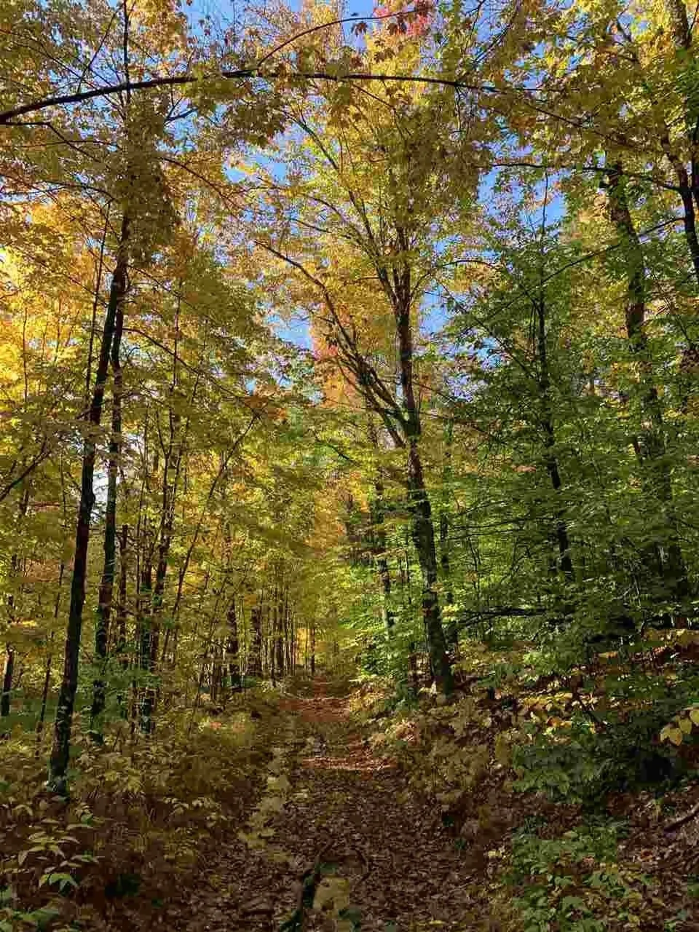 4000 Hardwood Flats Road Elmore VT 05657