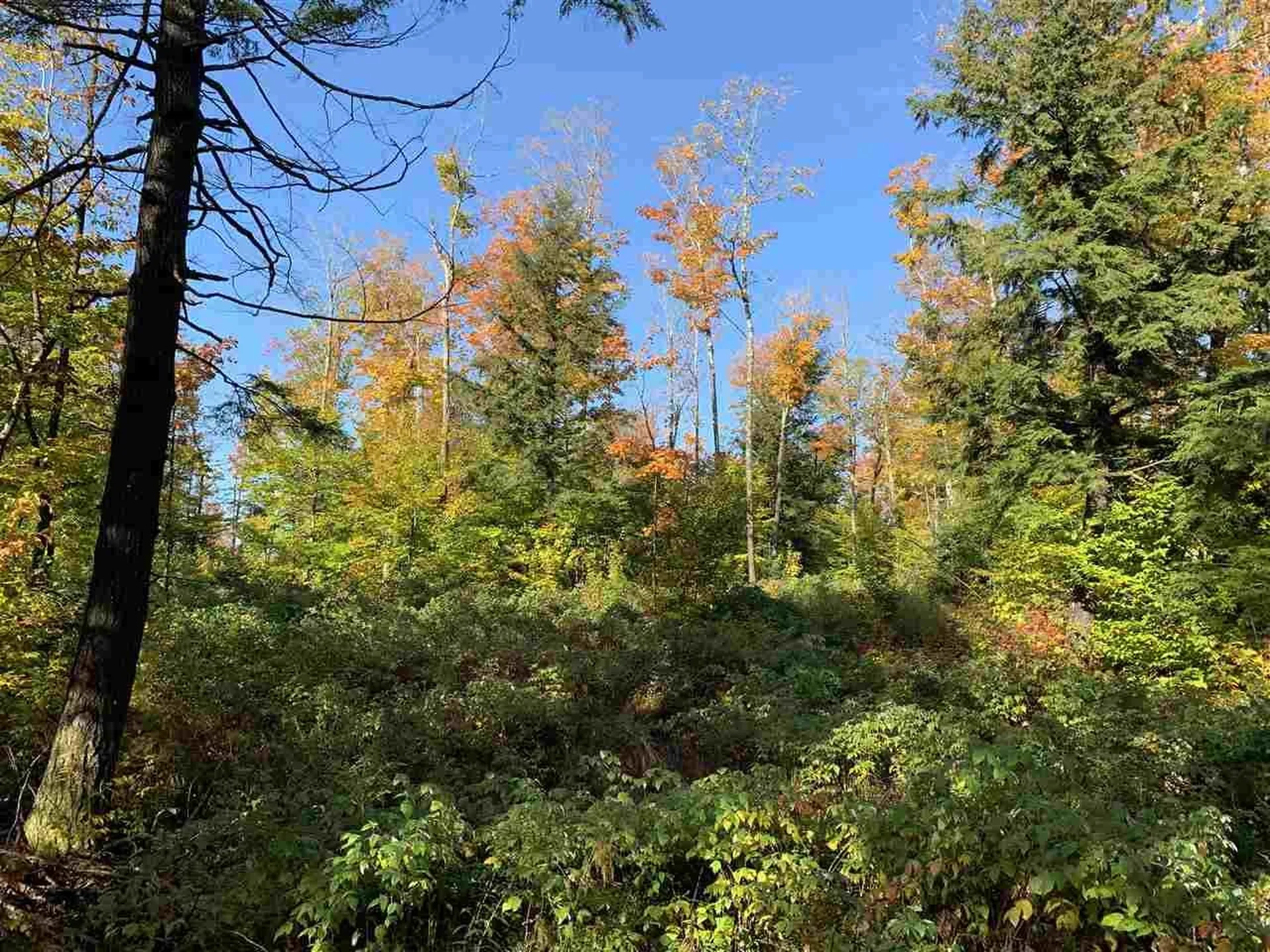 4000 Hardwood Flats Road Elmore VT 05657