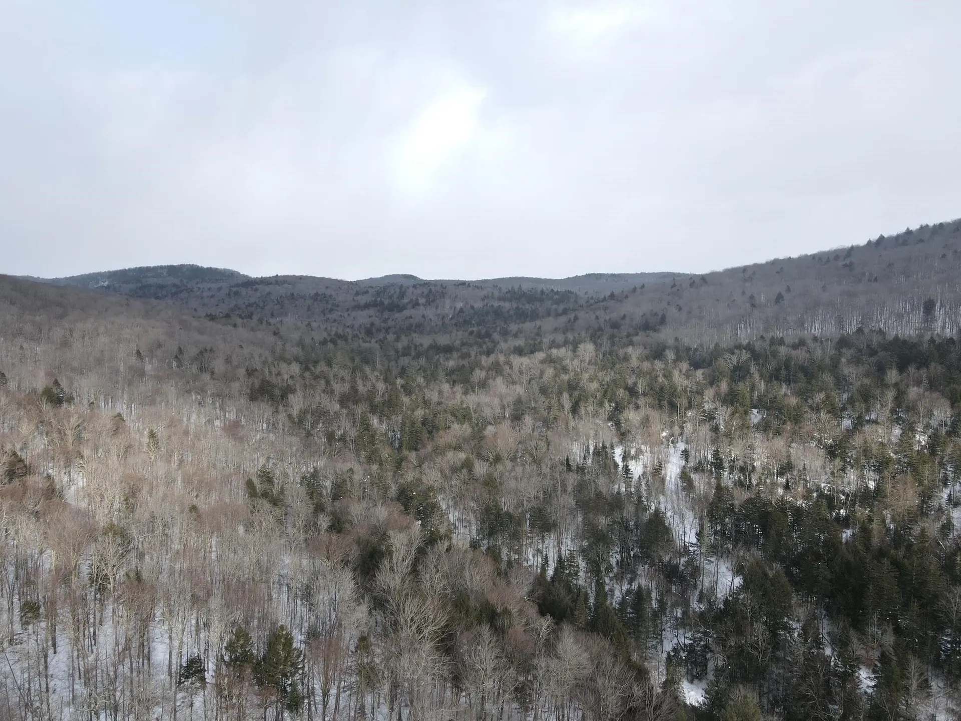 4000 Hardwood Flats Road Elmore VT 05657