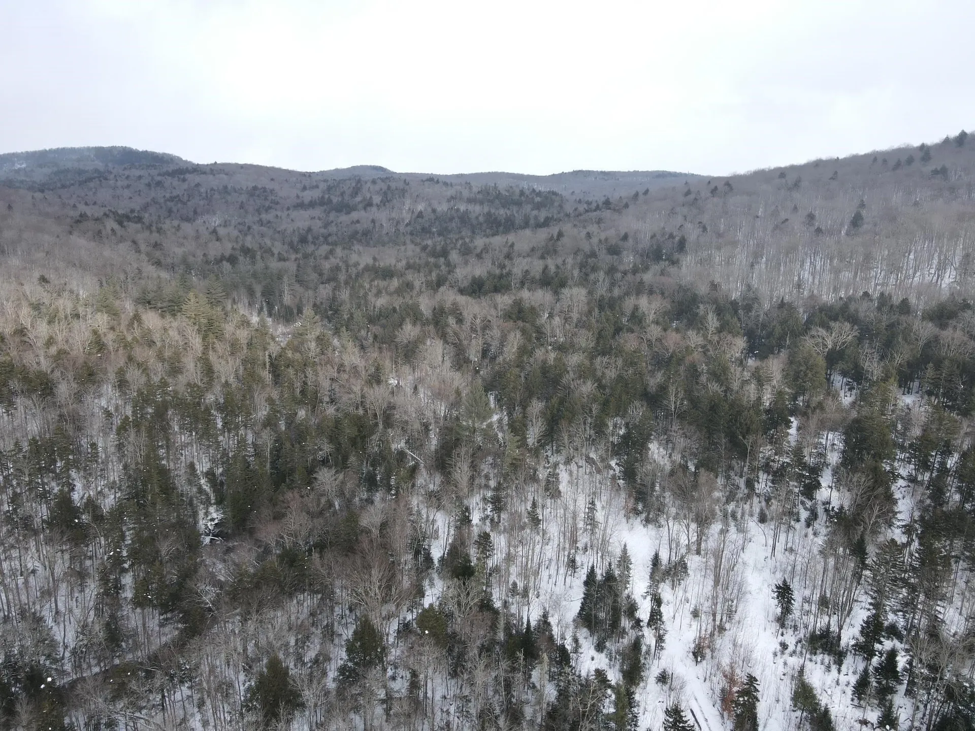 4000 Hardwood Flats Road Elmore VT 05657