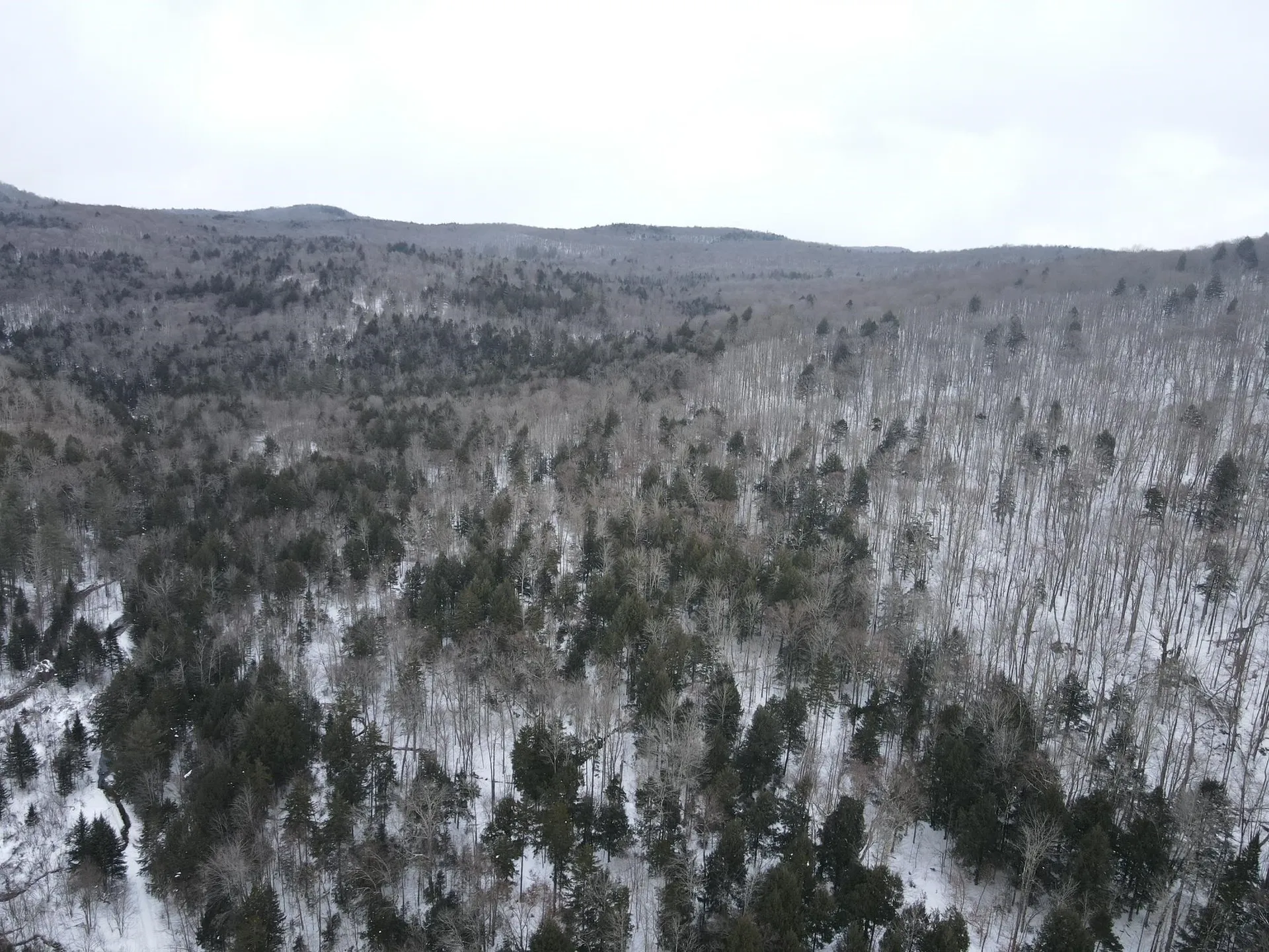 4000 Hardwood Flats Road Elmore VT 05657