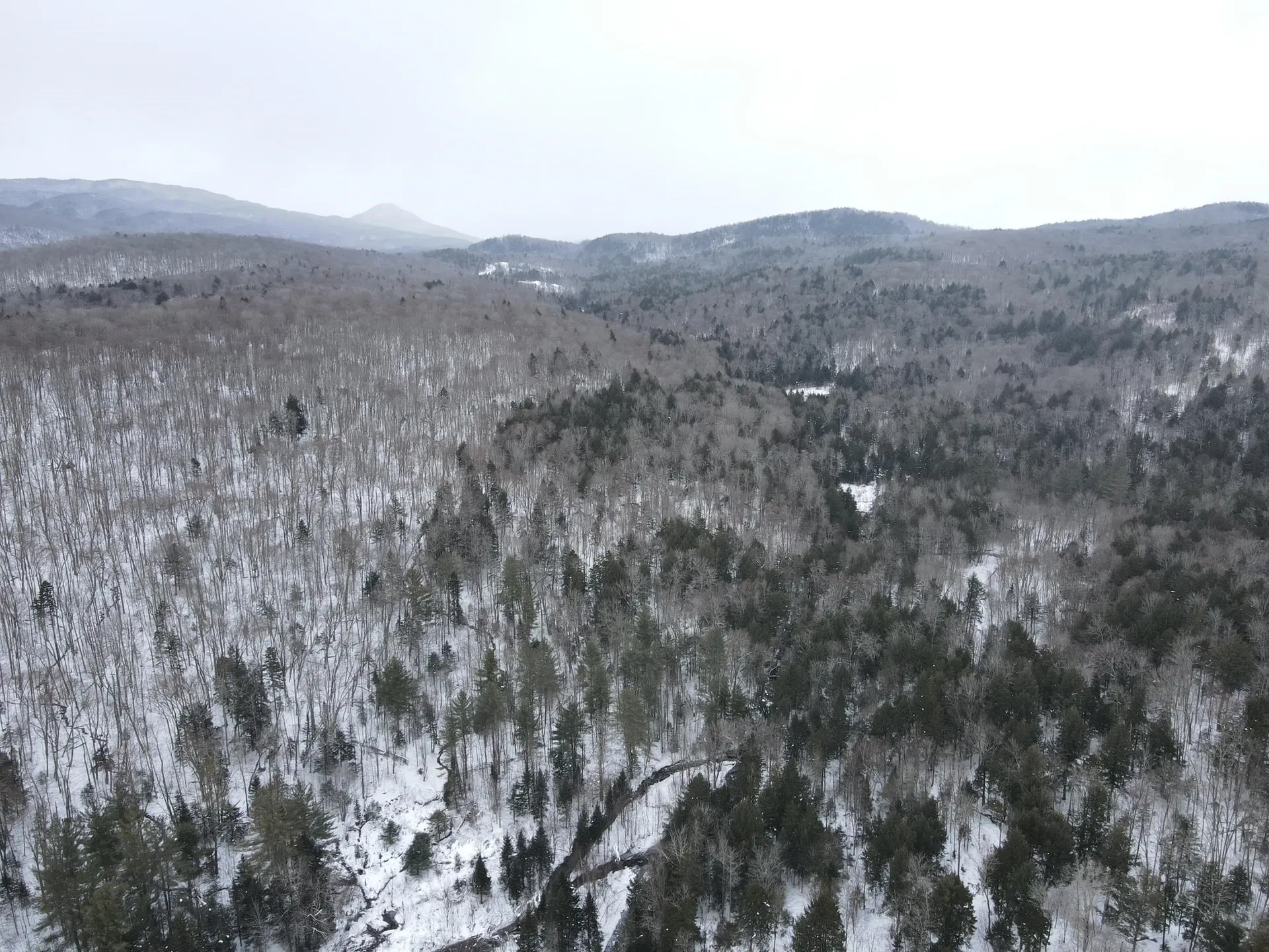 4000 Hardwood Flats Road Elmore VT 05657