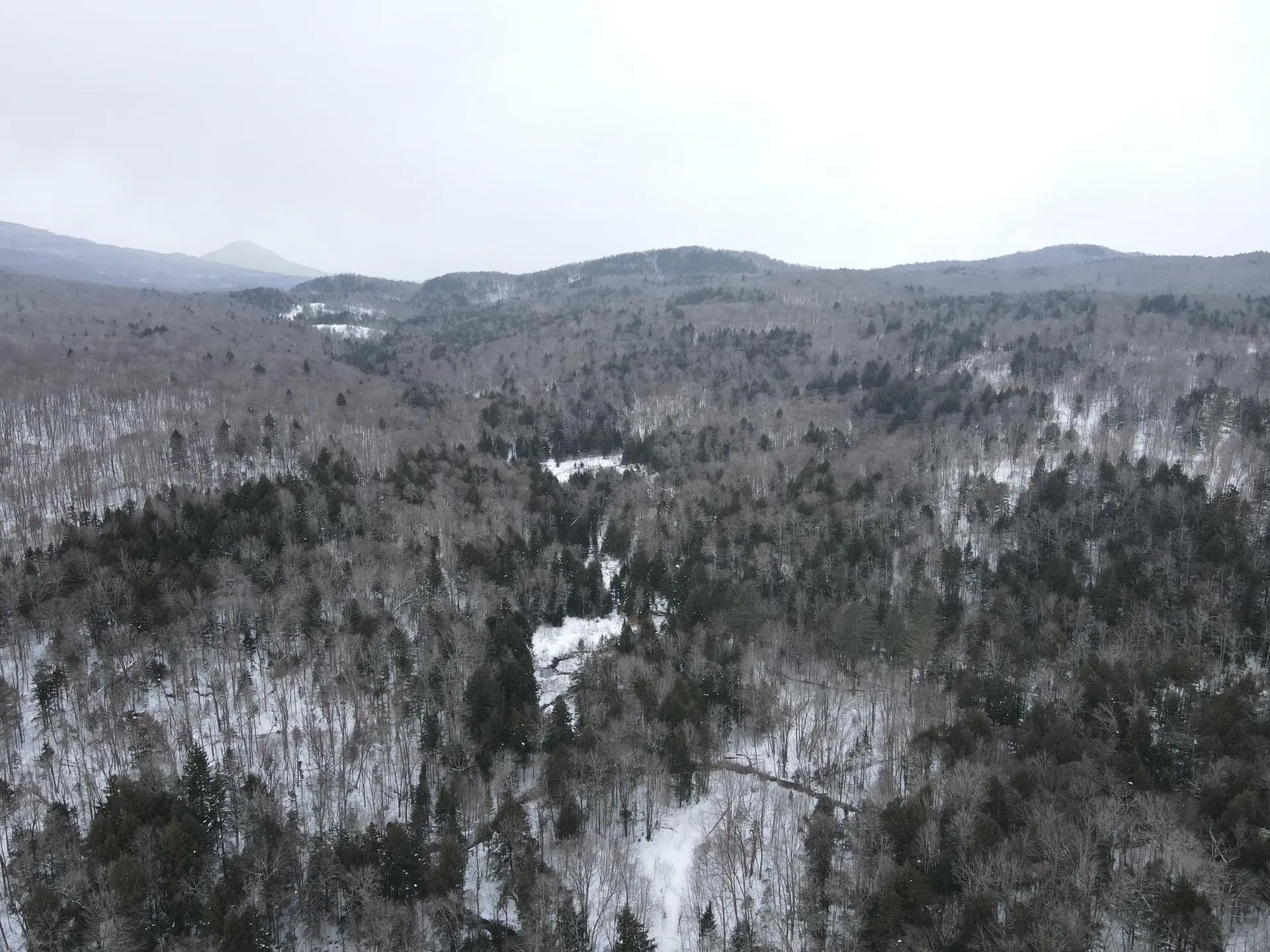 4000 Hardwood Flats Road Elmore VT 05657