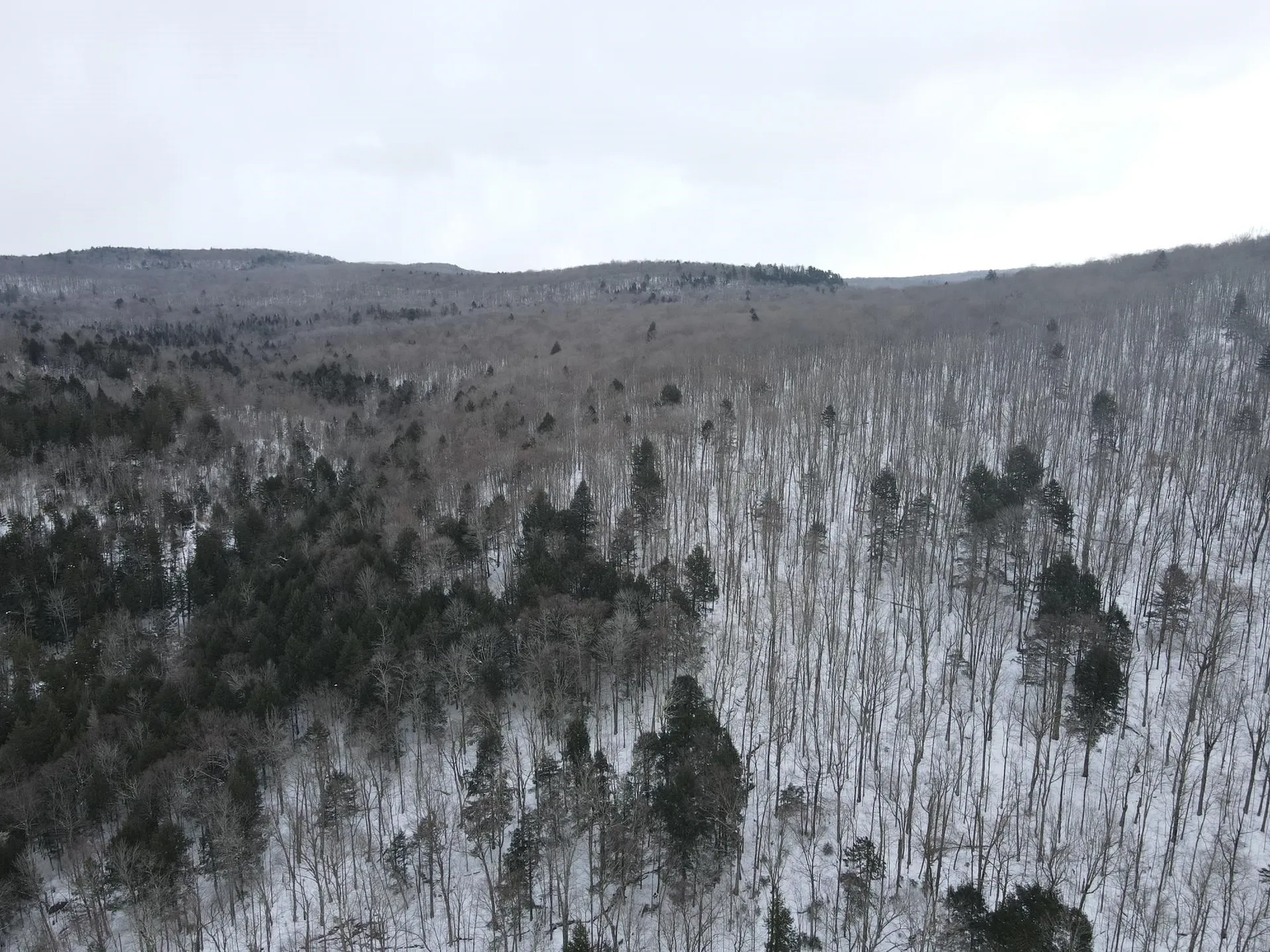 4000 Hardwood Flats Road Elmore VT 05657