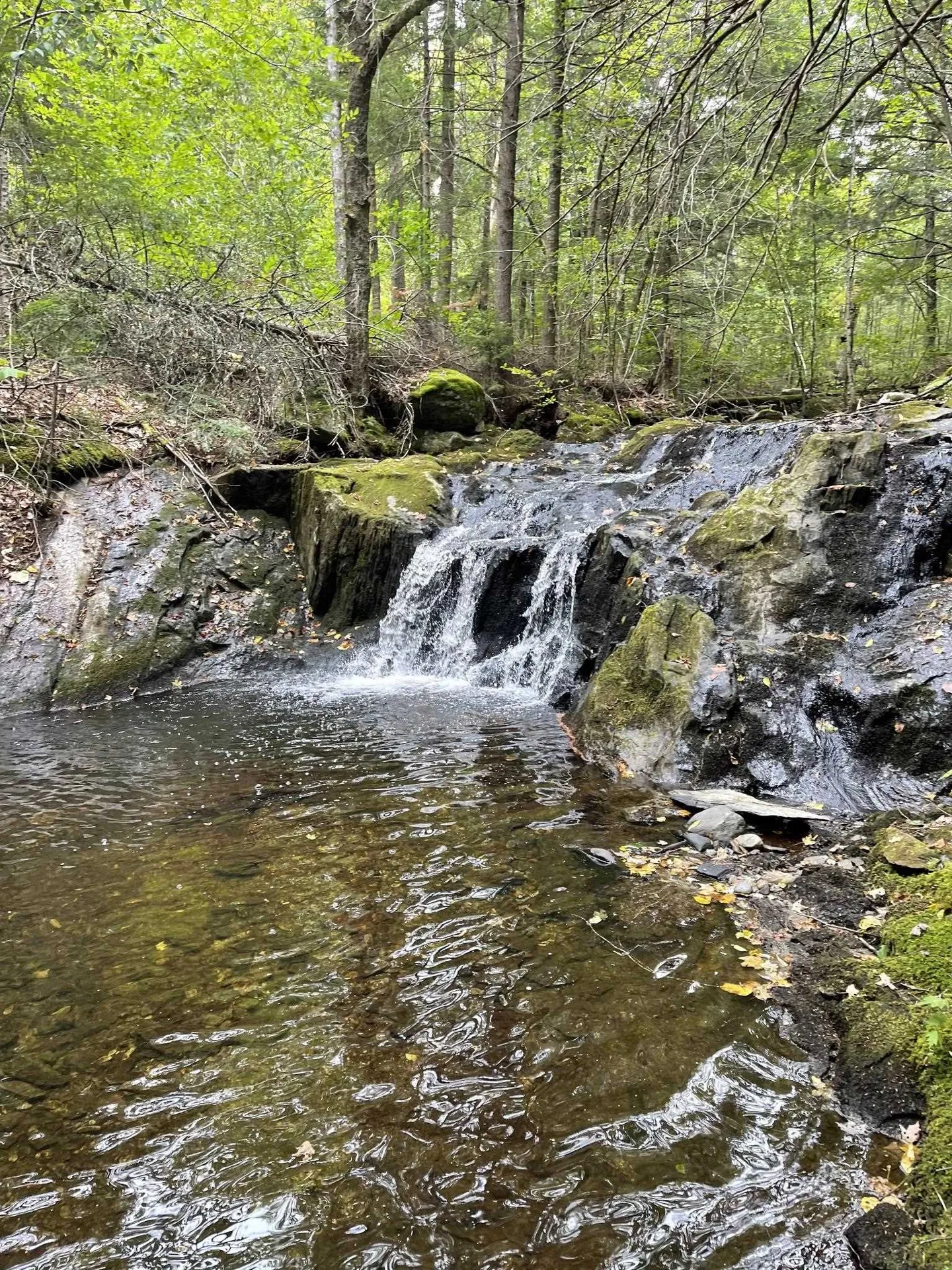 4000 Hardwood Flats Road Elmore VT 05657