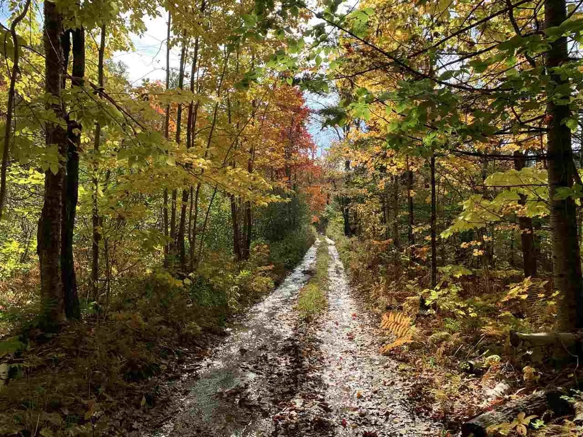 4000 Hardwood Flats Road Elmore VT 05657