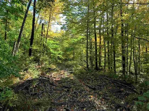4000 Hardwood Flats Road Elmore VT 05657