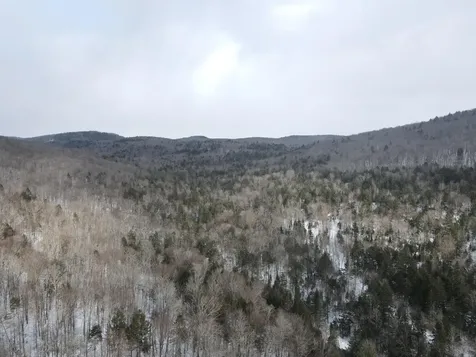 4000 Hardwood Flats Road Elmore VT 05657