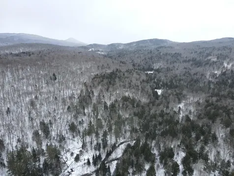 4000 Hardwood Flats Road Elmore VT 05657