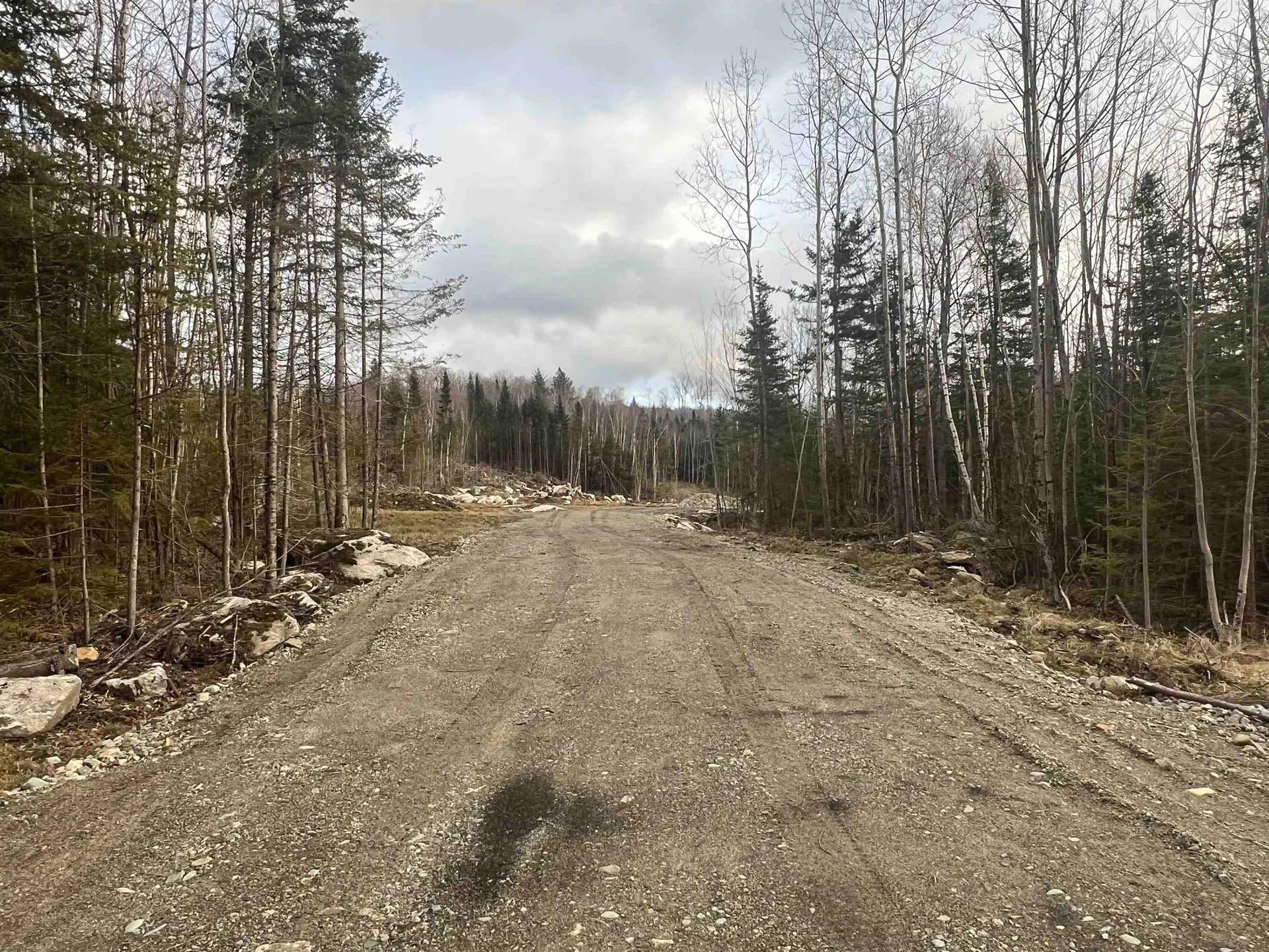 Lot 15 Black Velvet Road Jefferson NH 03583