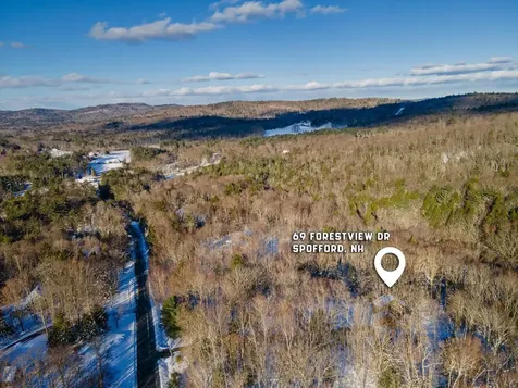69 Forestview Drive Chesterfield NH 03462