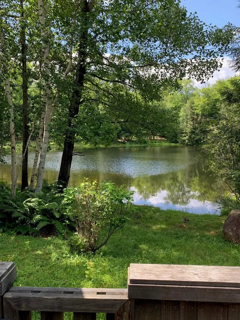 81 Pond View Road Winhall VT 05340