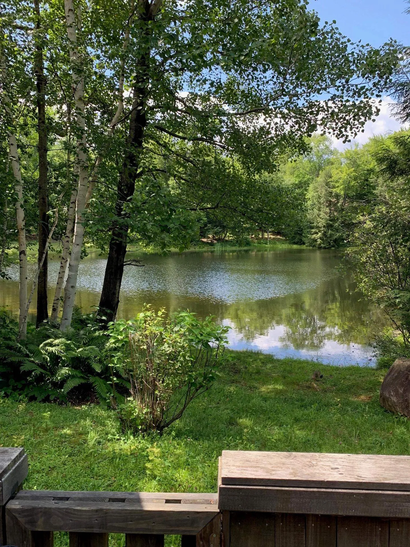 81 Pond View Road Winhall VT 05340