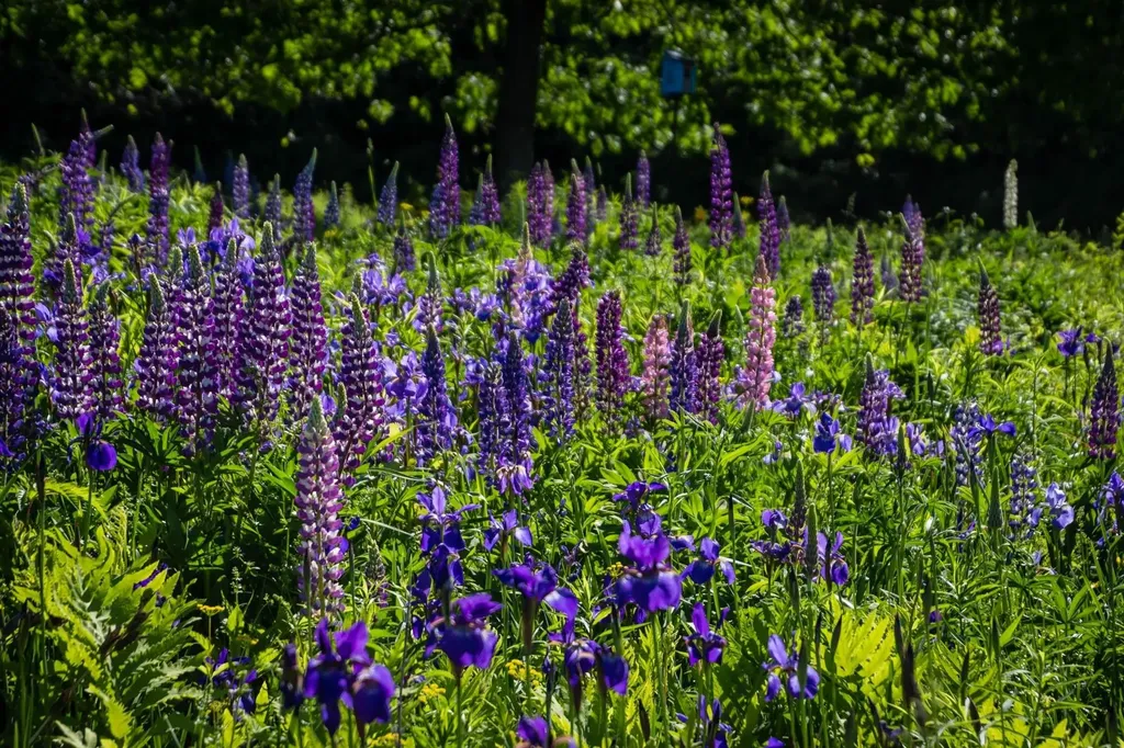 41 Churchill Drive Cornish NH 03745