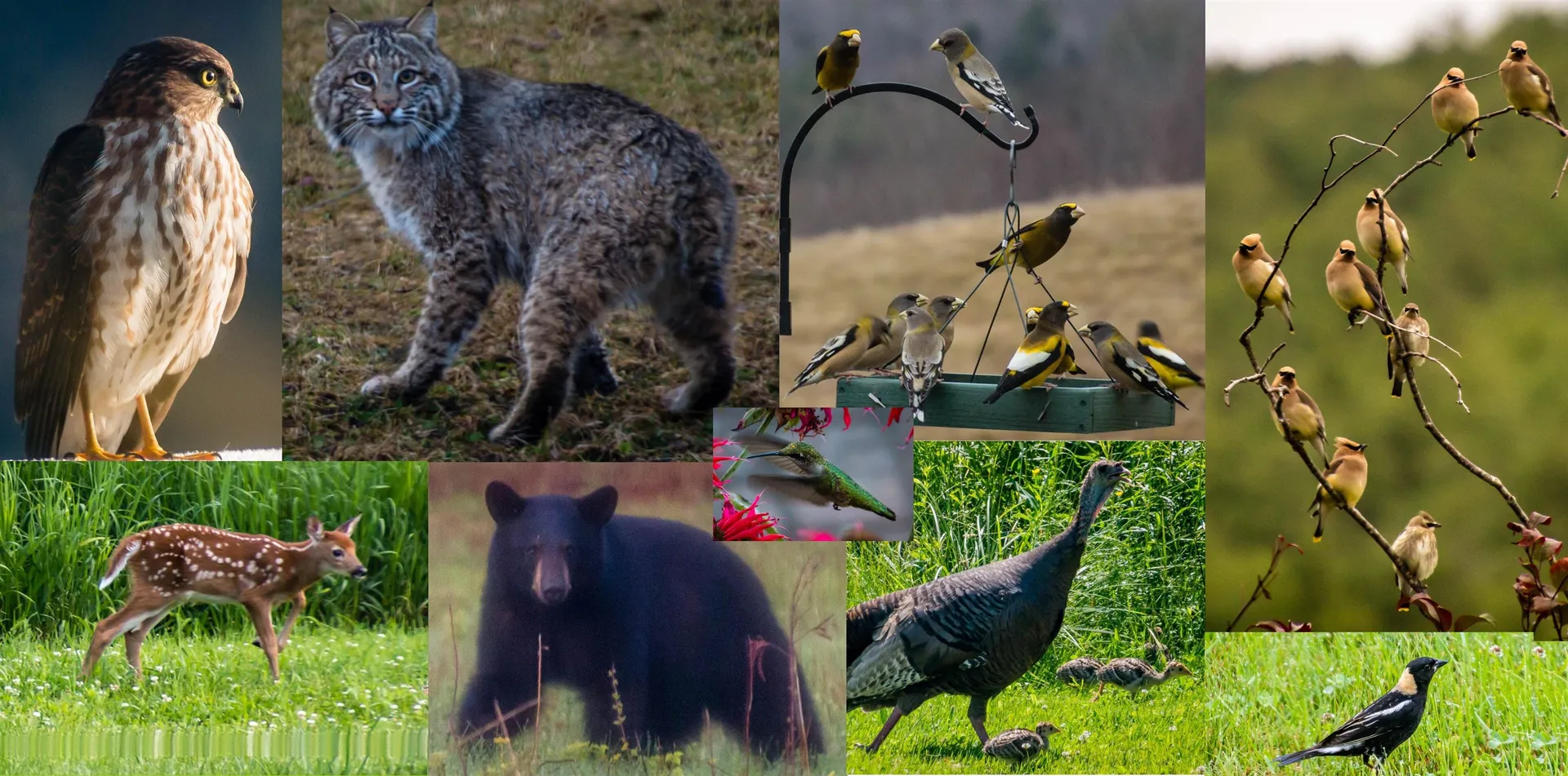 0 Churchill Drive Cornish NH 03745