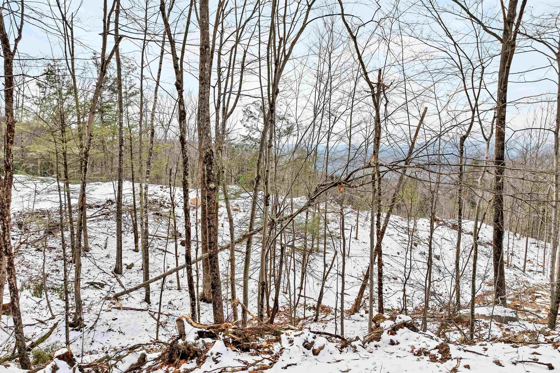 64 Interlaken Drive New Durham NH 03855