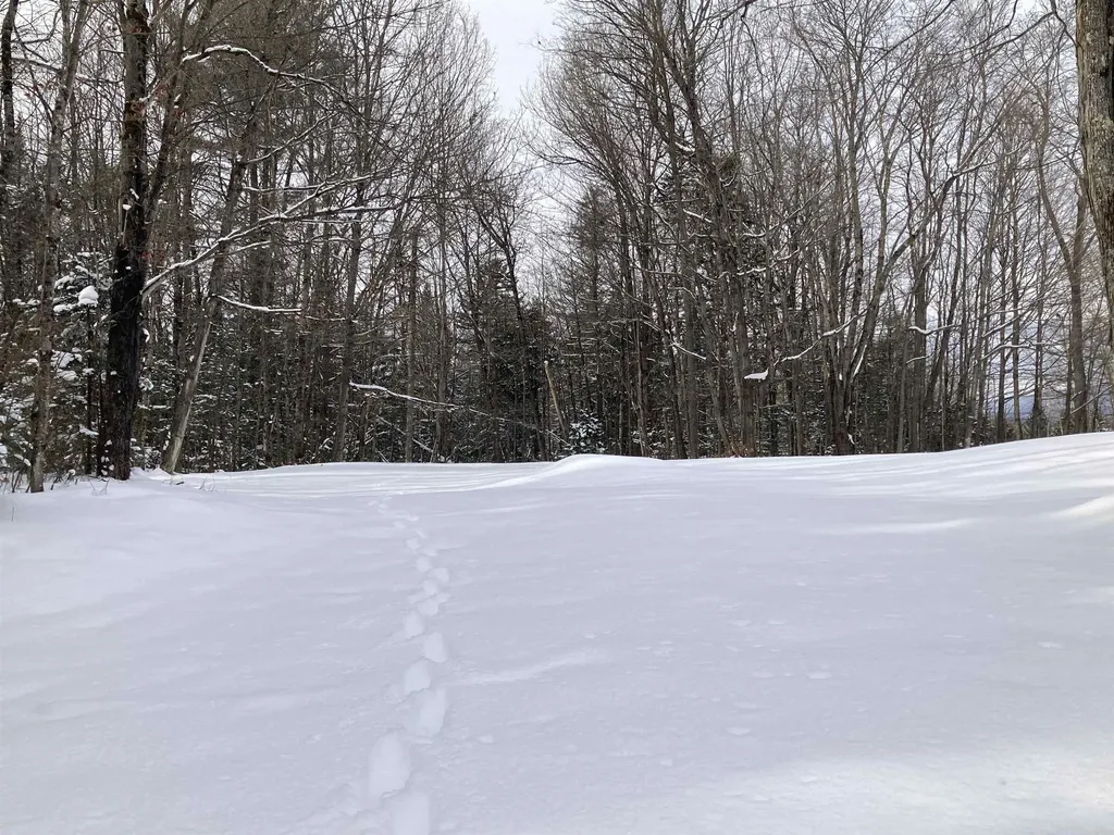 76 Tenney Hill Road Hyde Park VT 05655