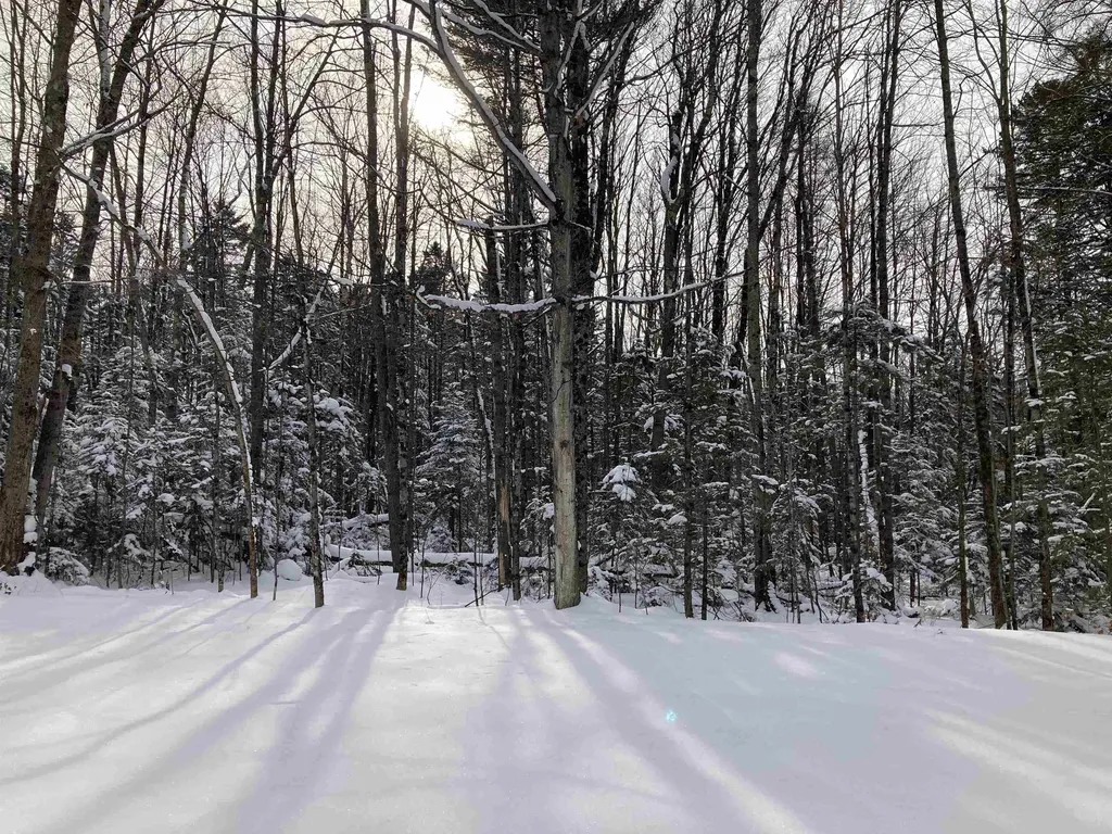 76 Tenney Hill Road Hyde Park VT 05655