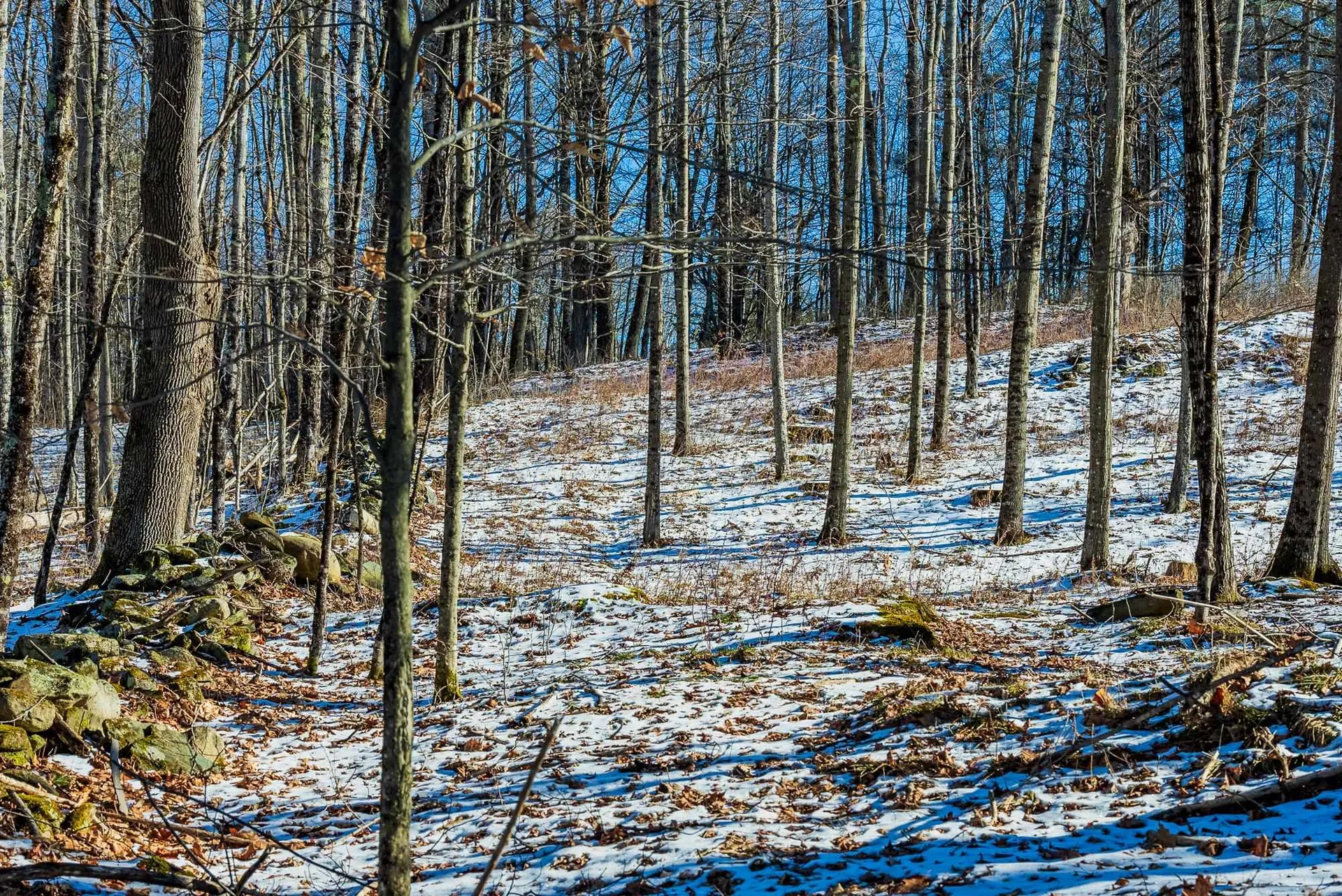 00 Olcott Road Norwich VT 05055