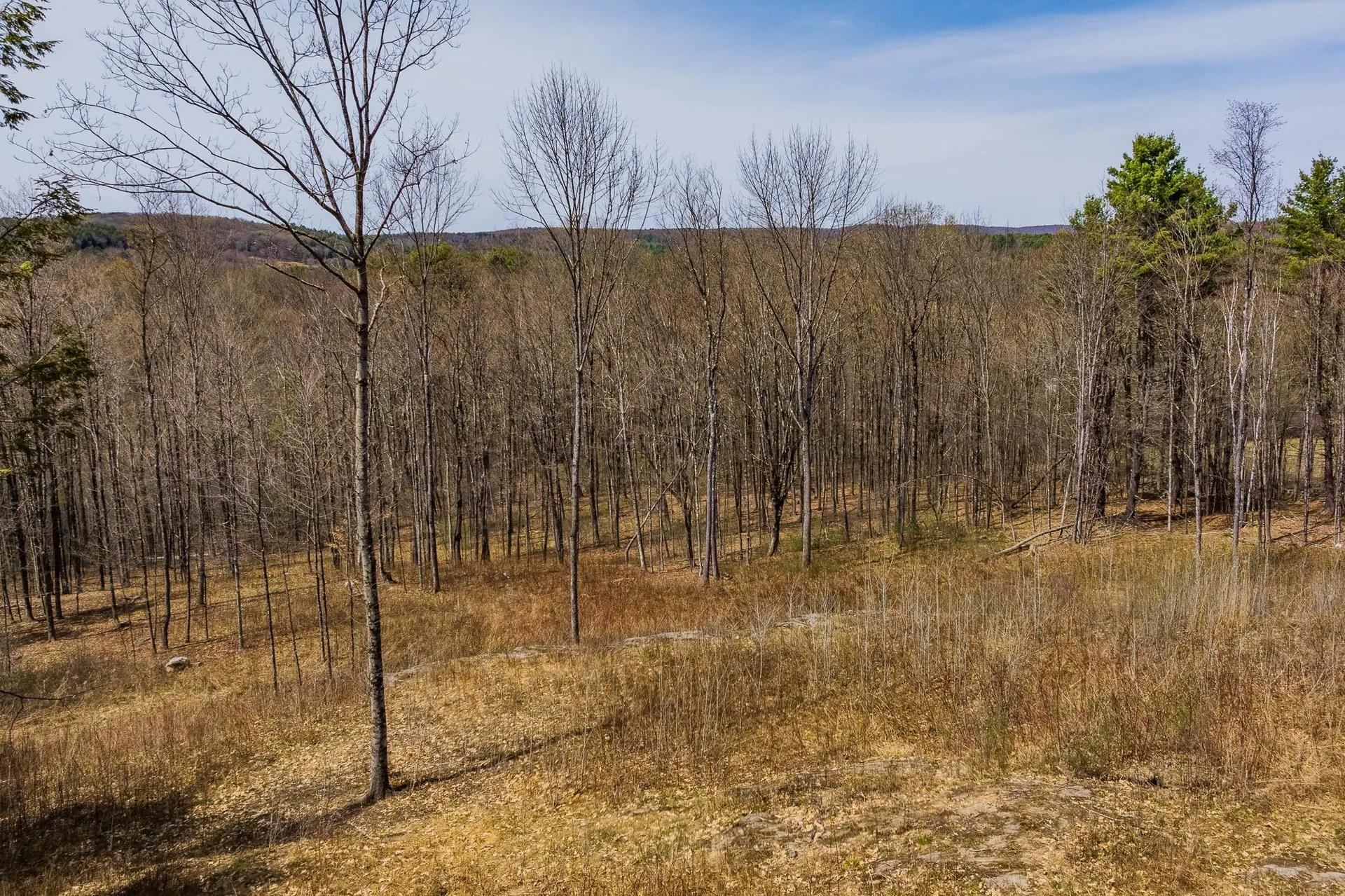 00 Olcott Road Norwich VT 05055