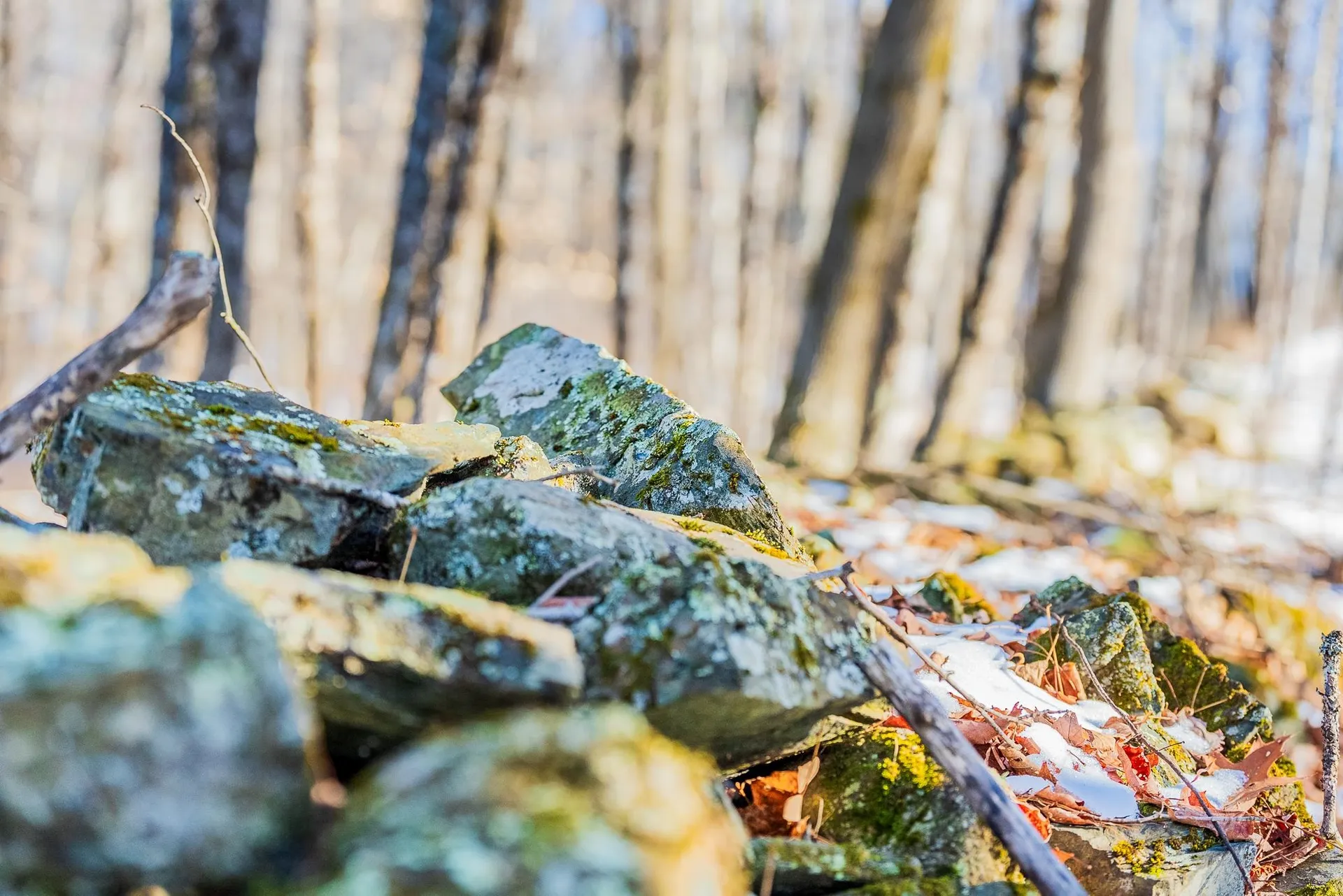 00 Olcott Road Norwich VT 05055