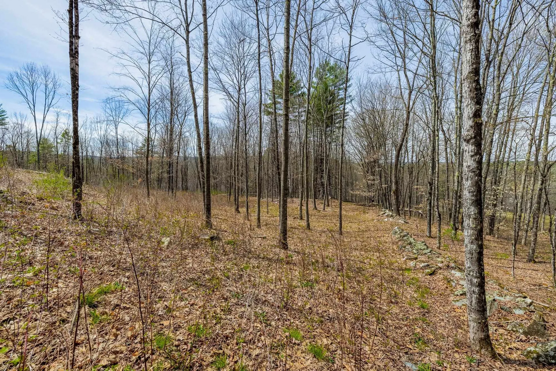 00 Olcott Road Norwich VT 05055
