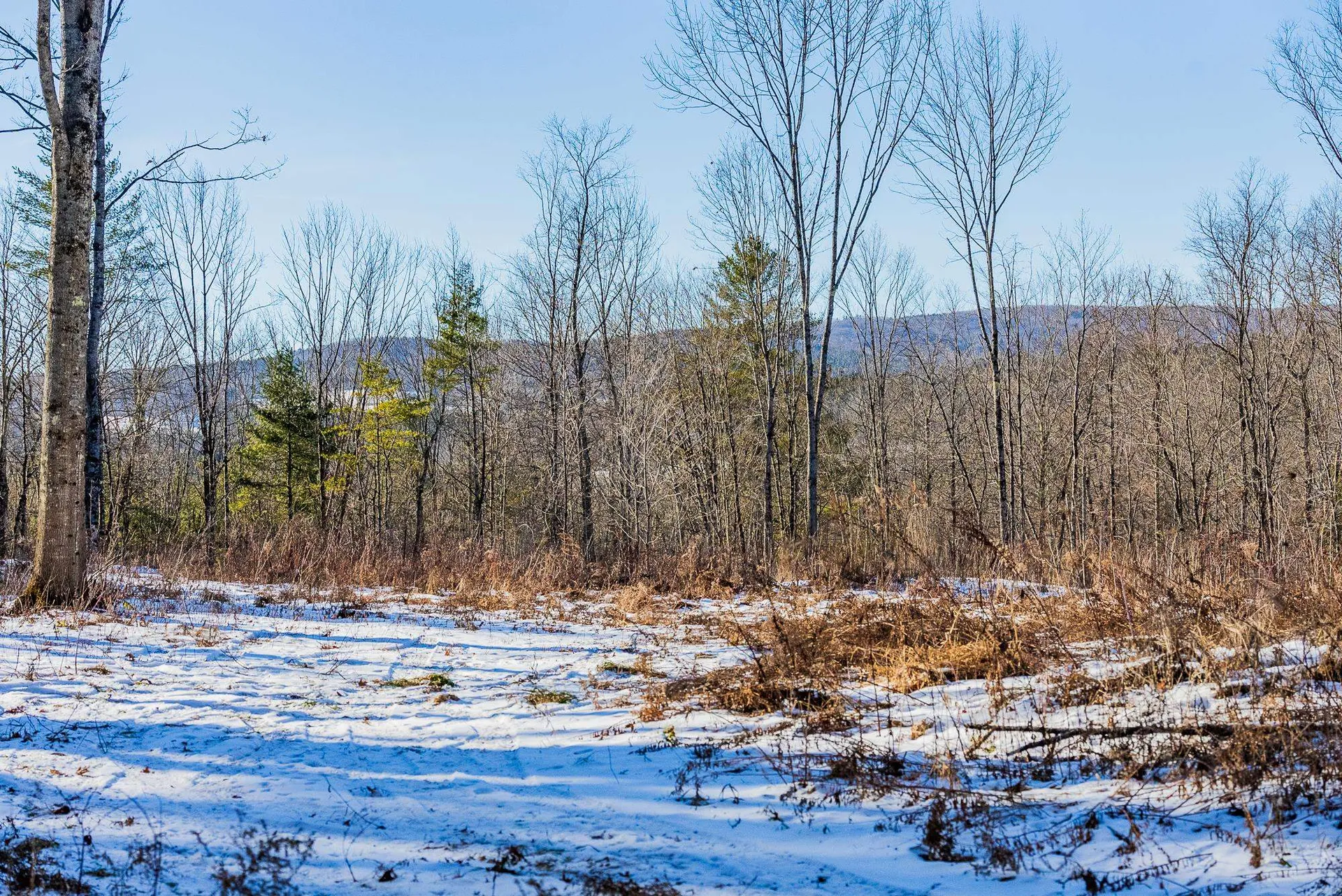 00 Olcott Road Norwich VT 05055