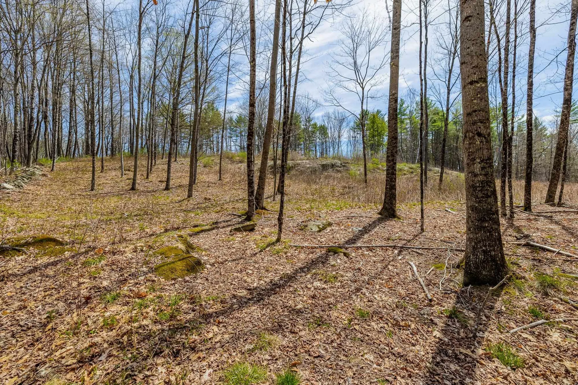 00 Olcott Road Norwich VT 05055