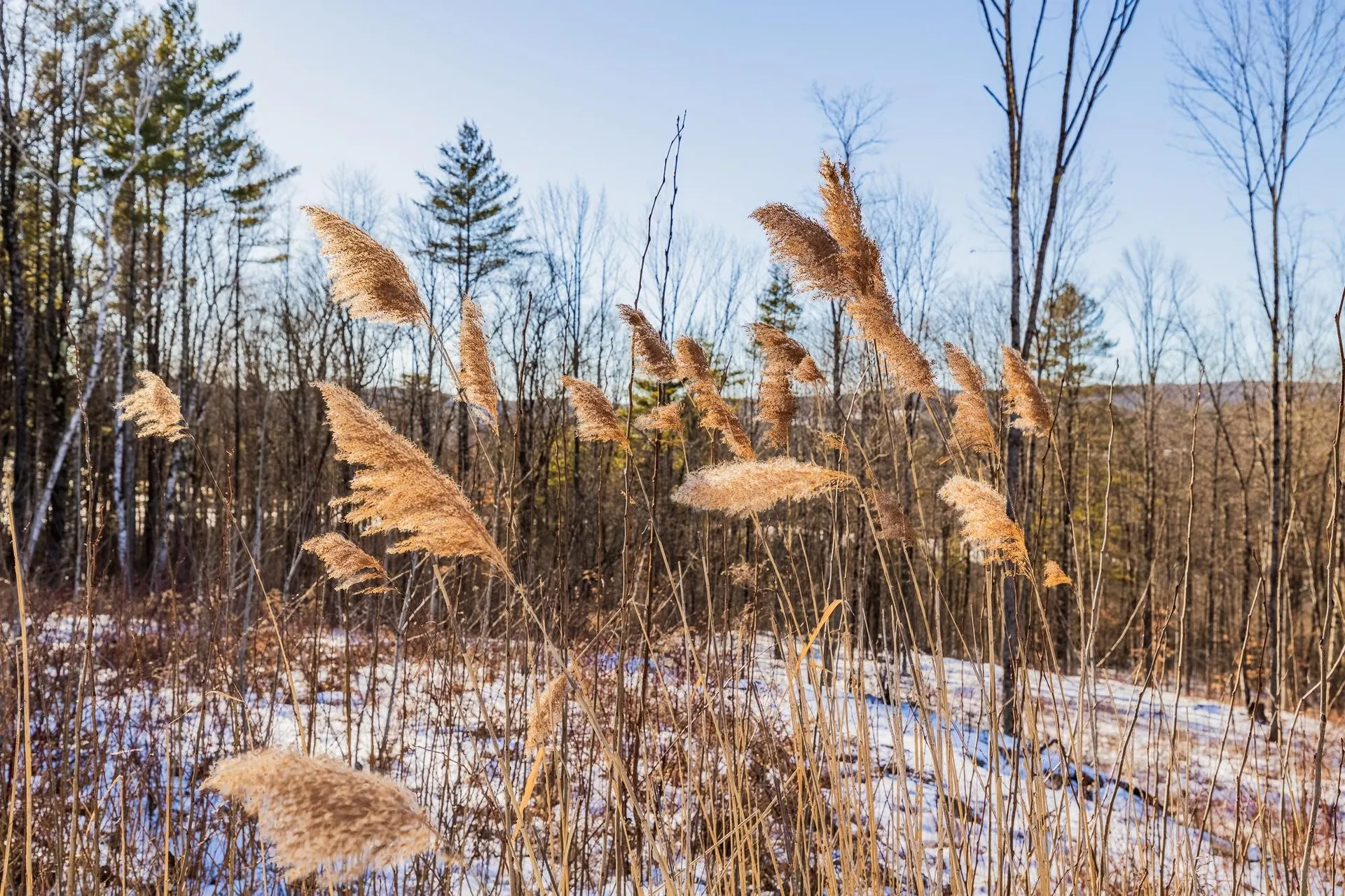00 Olcott Road Norwich VT 05055