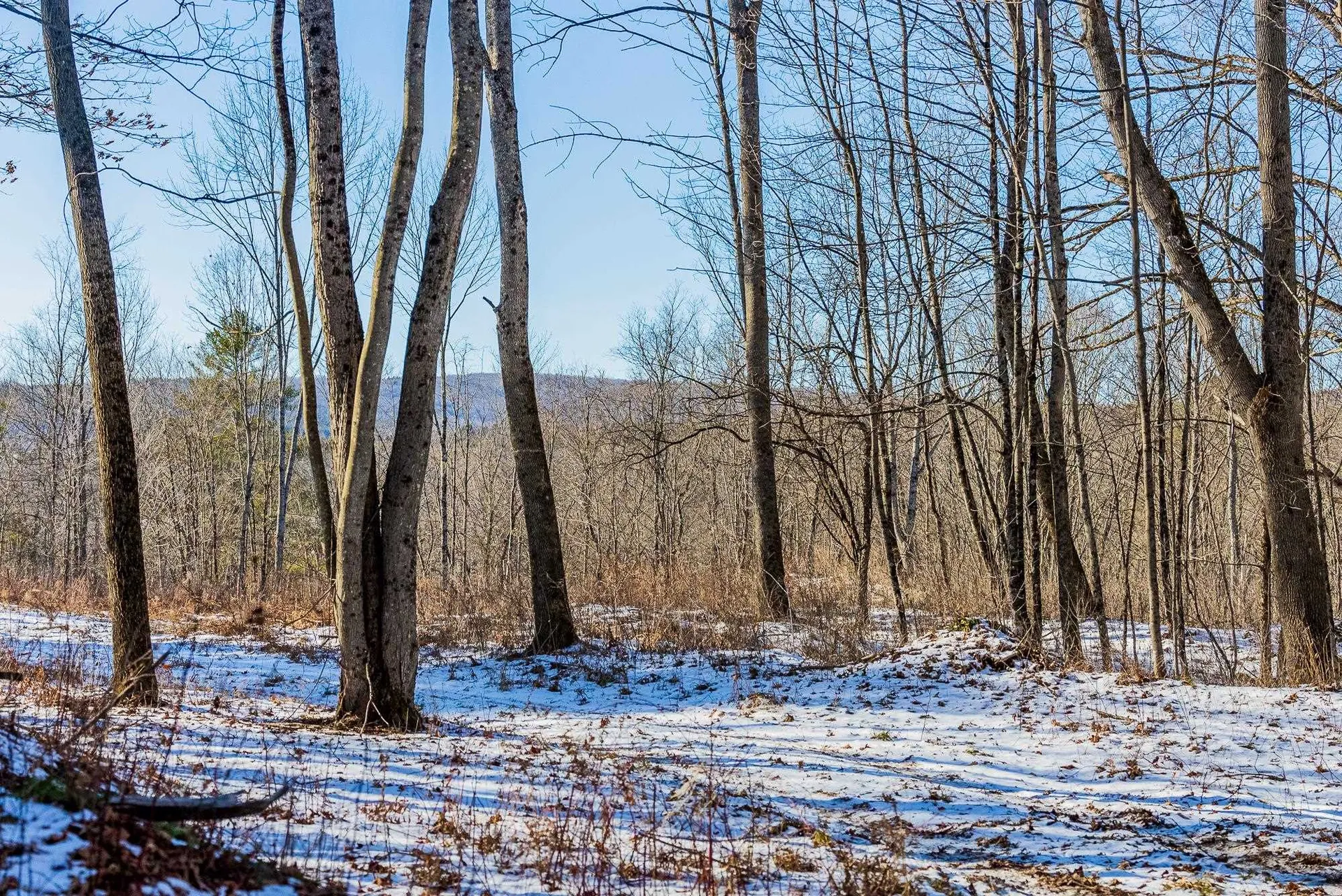 00 Olcott Road Norwich VT 05055