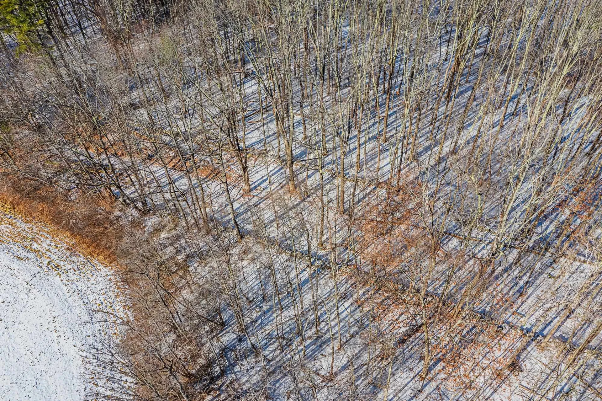 00 Olcott Road Norwich VT 05055