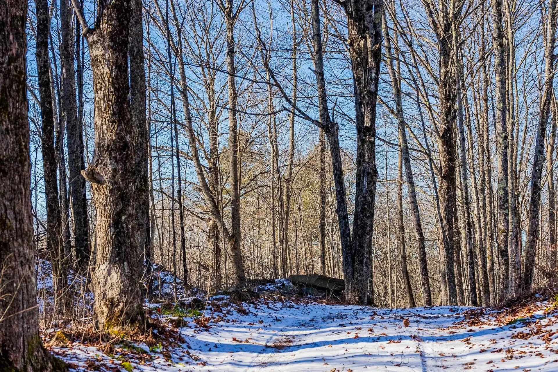 00 Olcott Road Norwich VT 05055