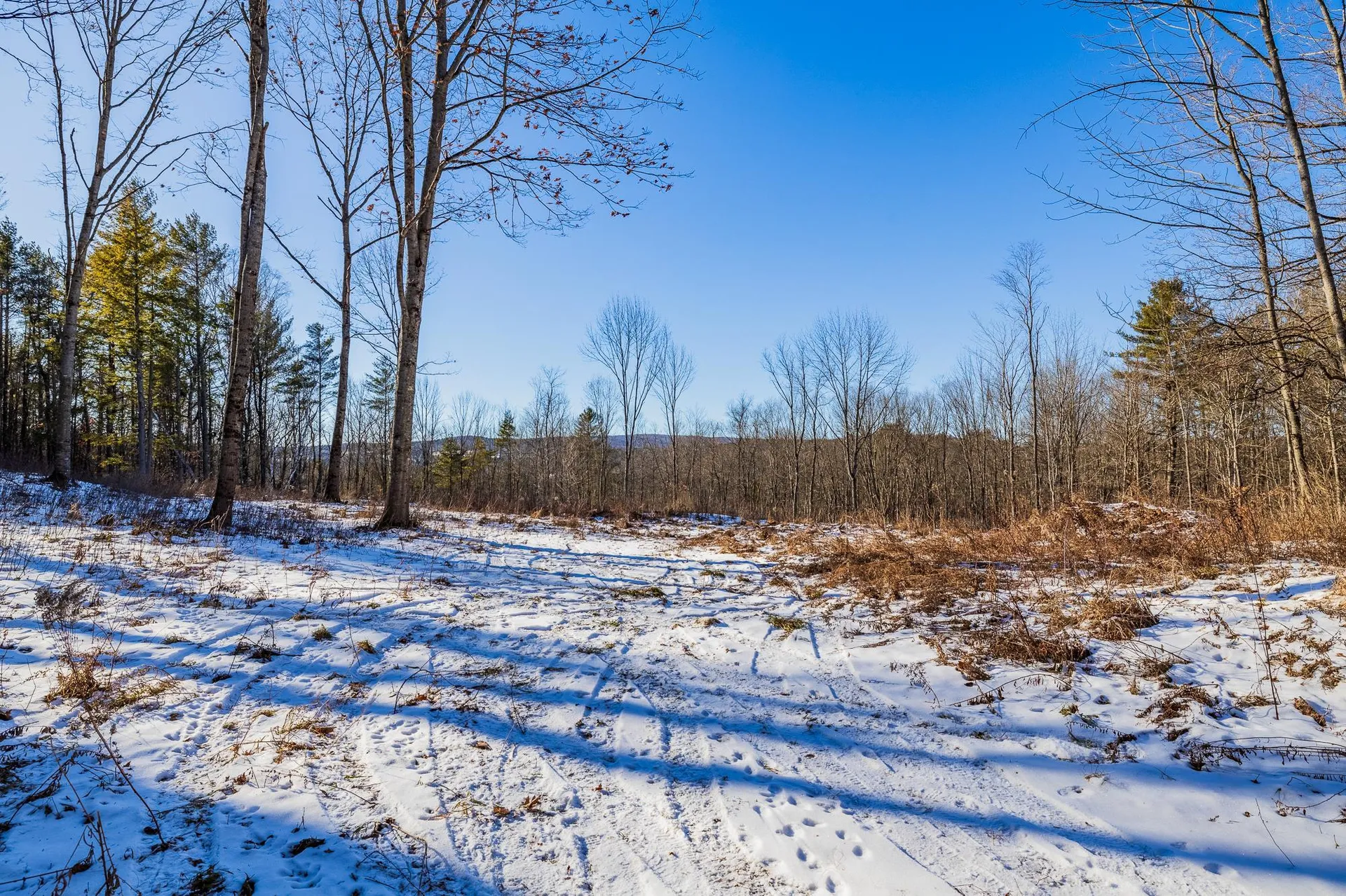 00 Olcott Road Norwich VT 05055