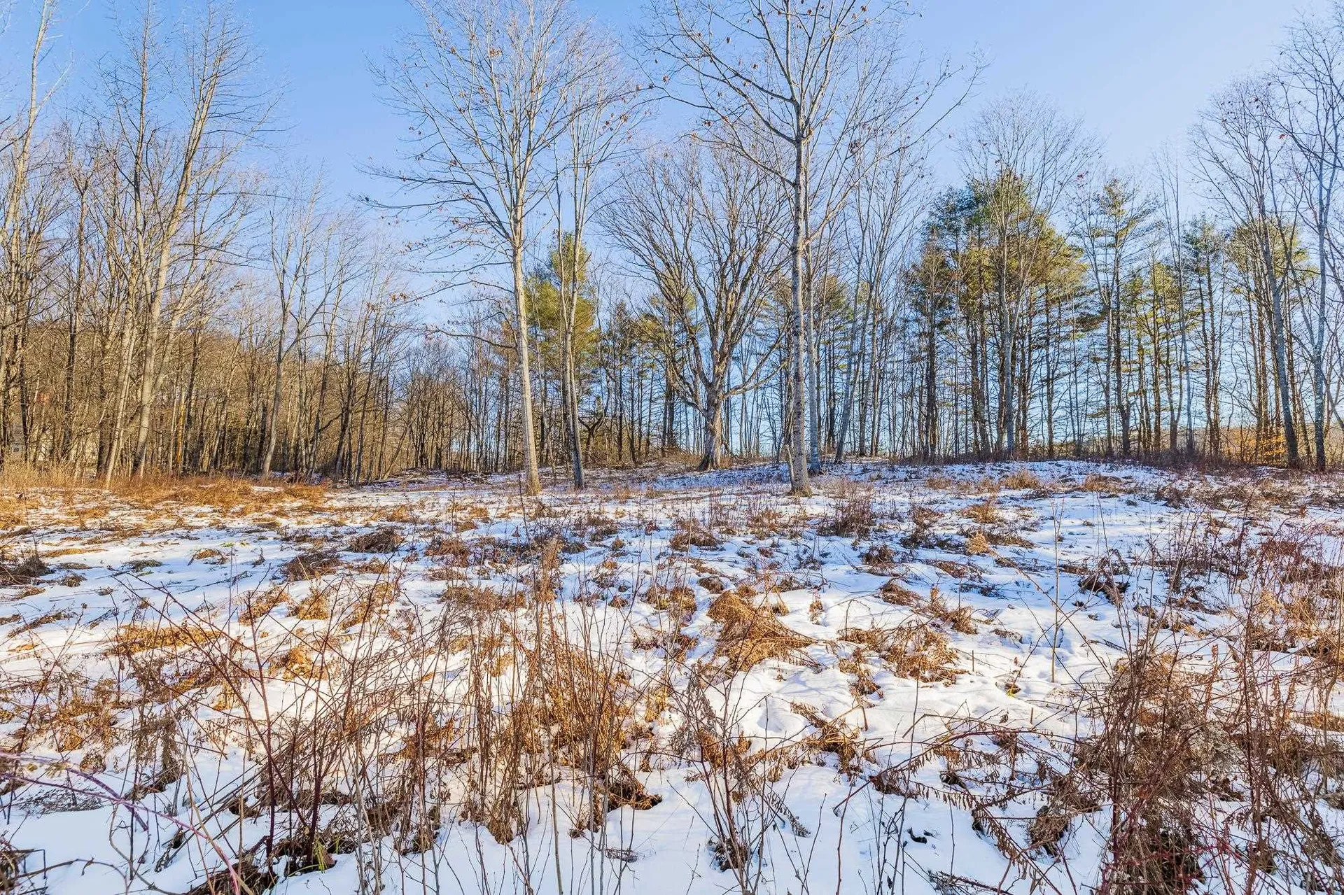 00 Olcott Road Norwich VT 05055