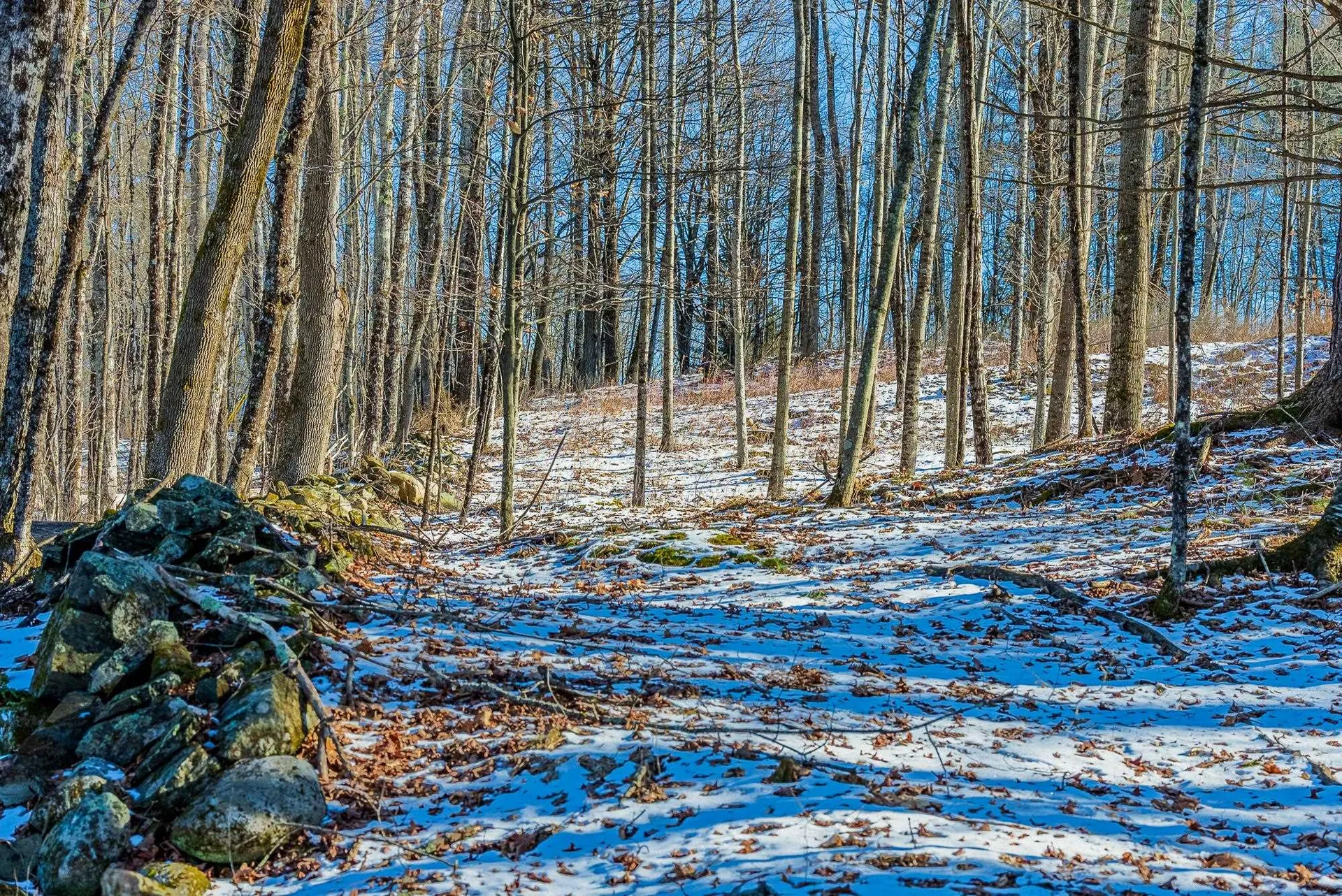 00 Olcott Road Norwich VT 05055