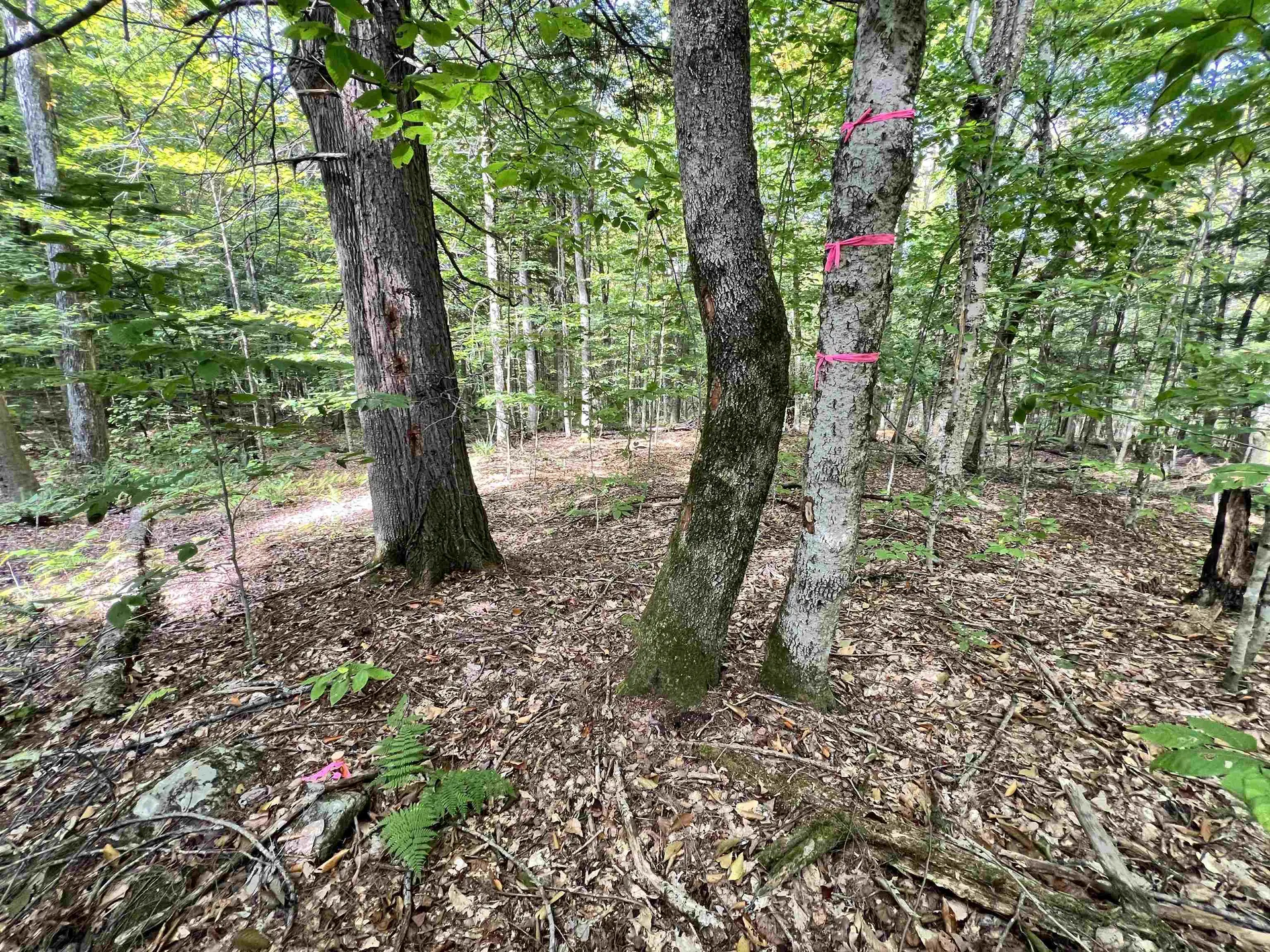 Five Corners Road Thetford VT 05075