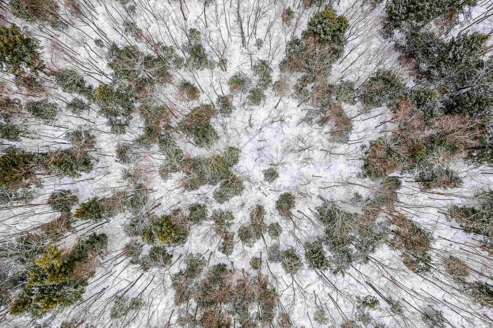 Five Corners Road Thetford VT 05075