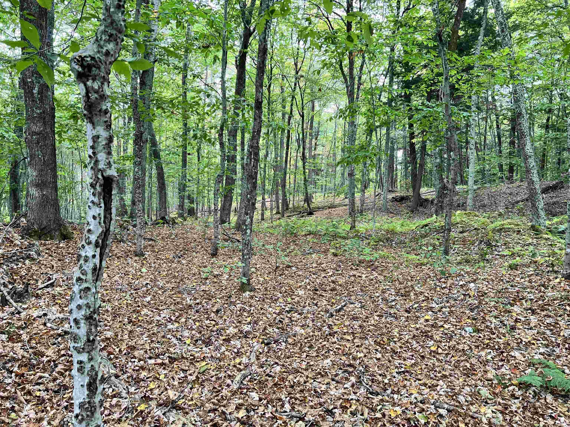 Five Corners Road Thetford VT 05075