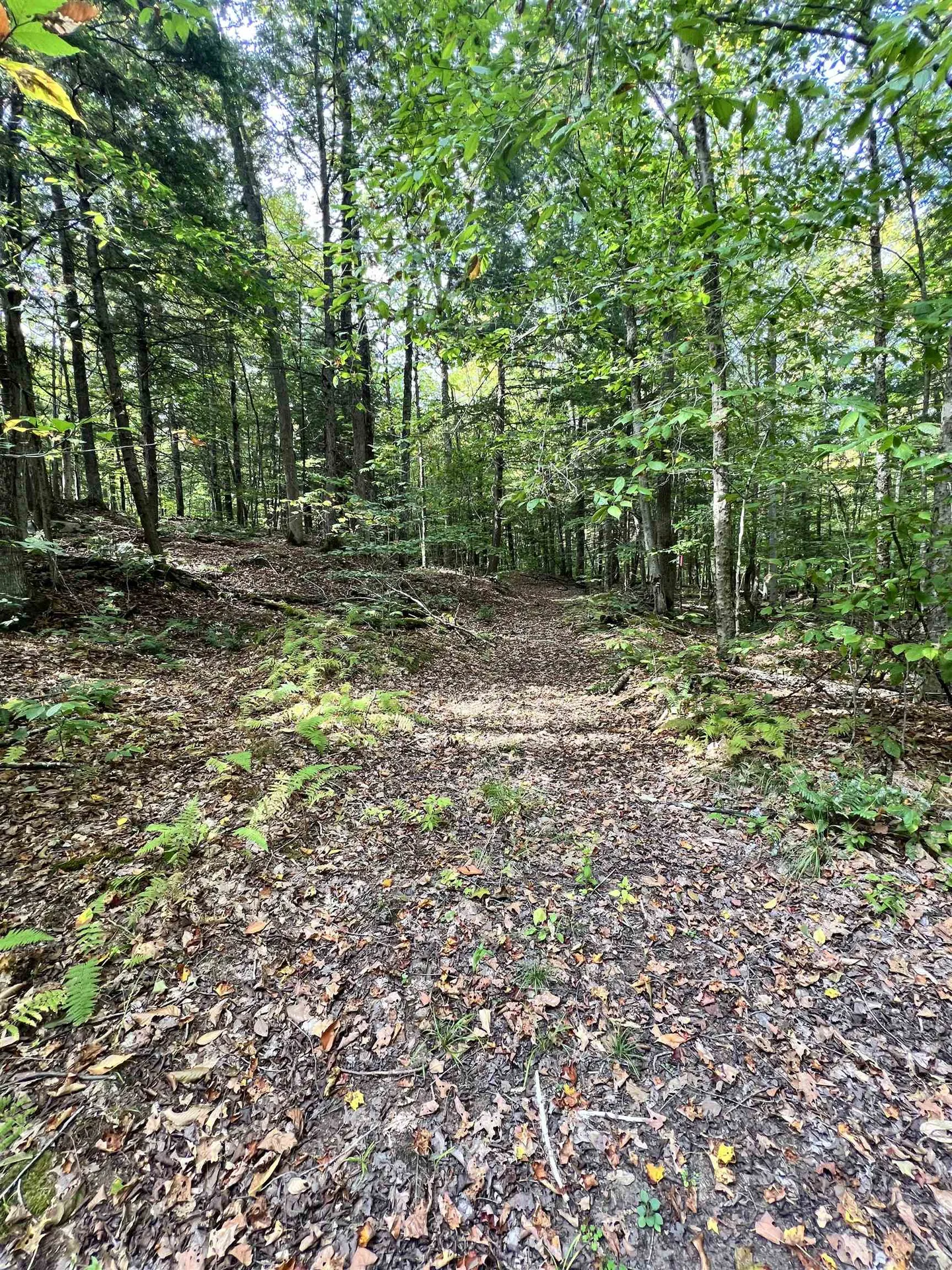 Five Corners Road Thetford VT 05075